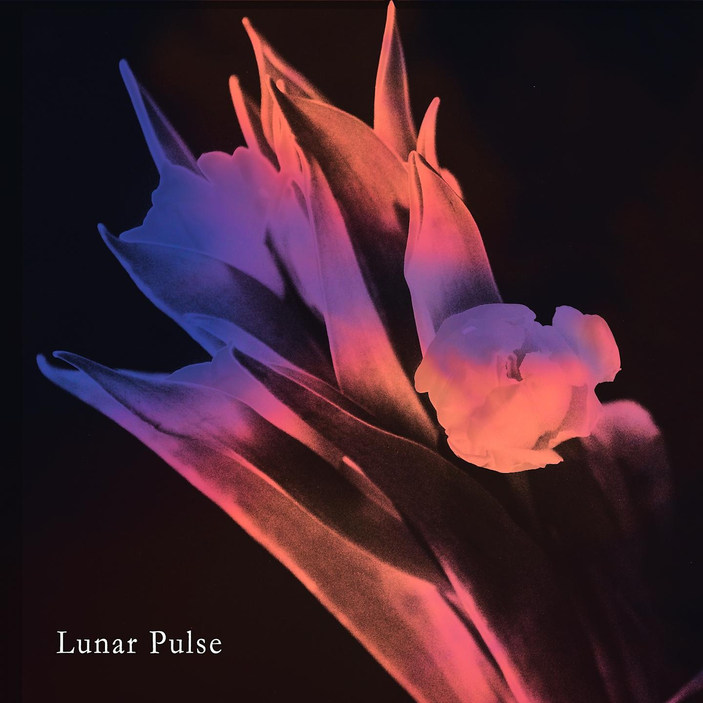 Постер альбома lunar pulse