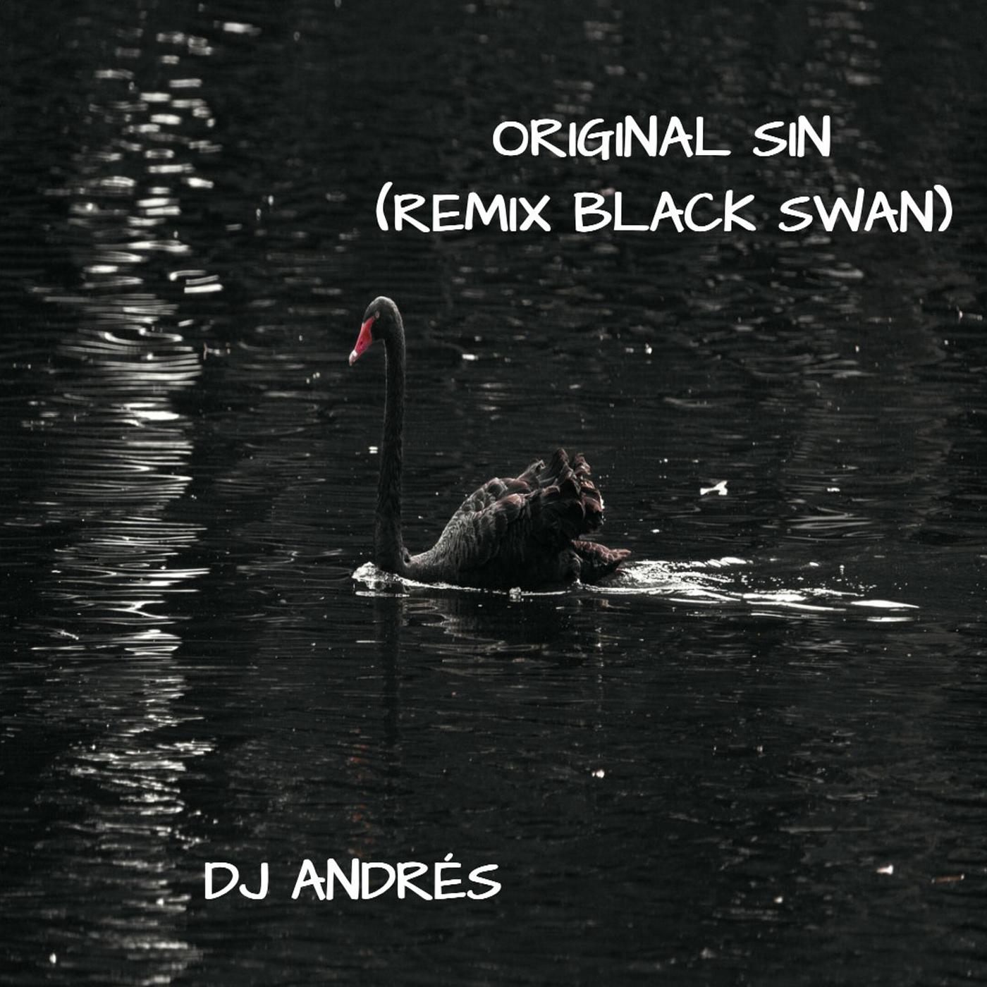 Постер альбома Original Sin (Remix Black Swan)