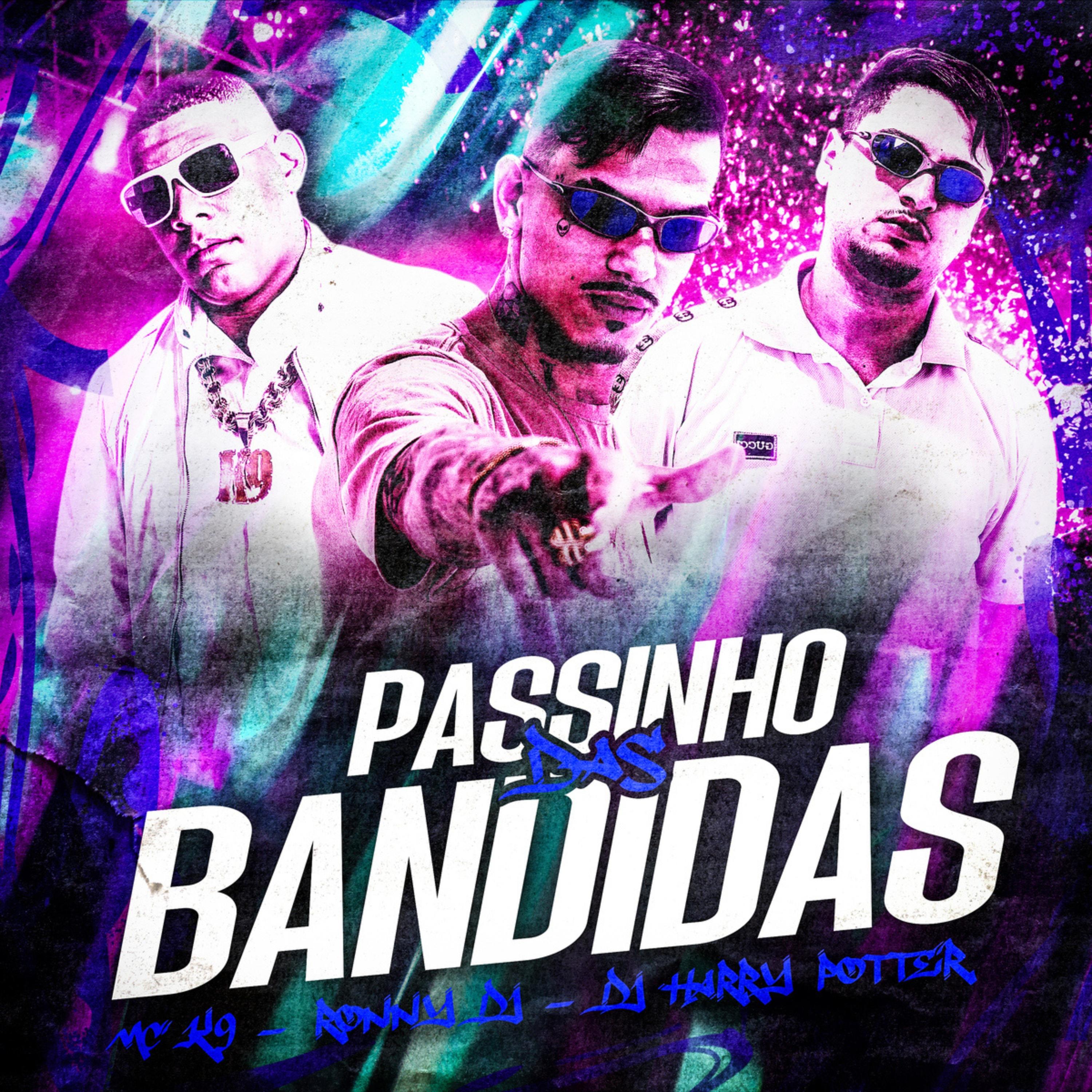 Постер альбома Passinho das Bandidas