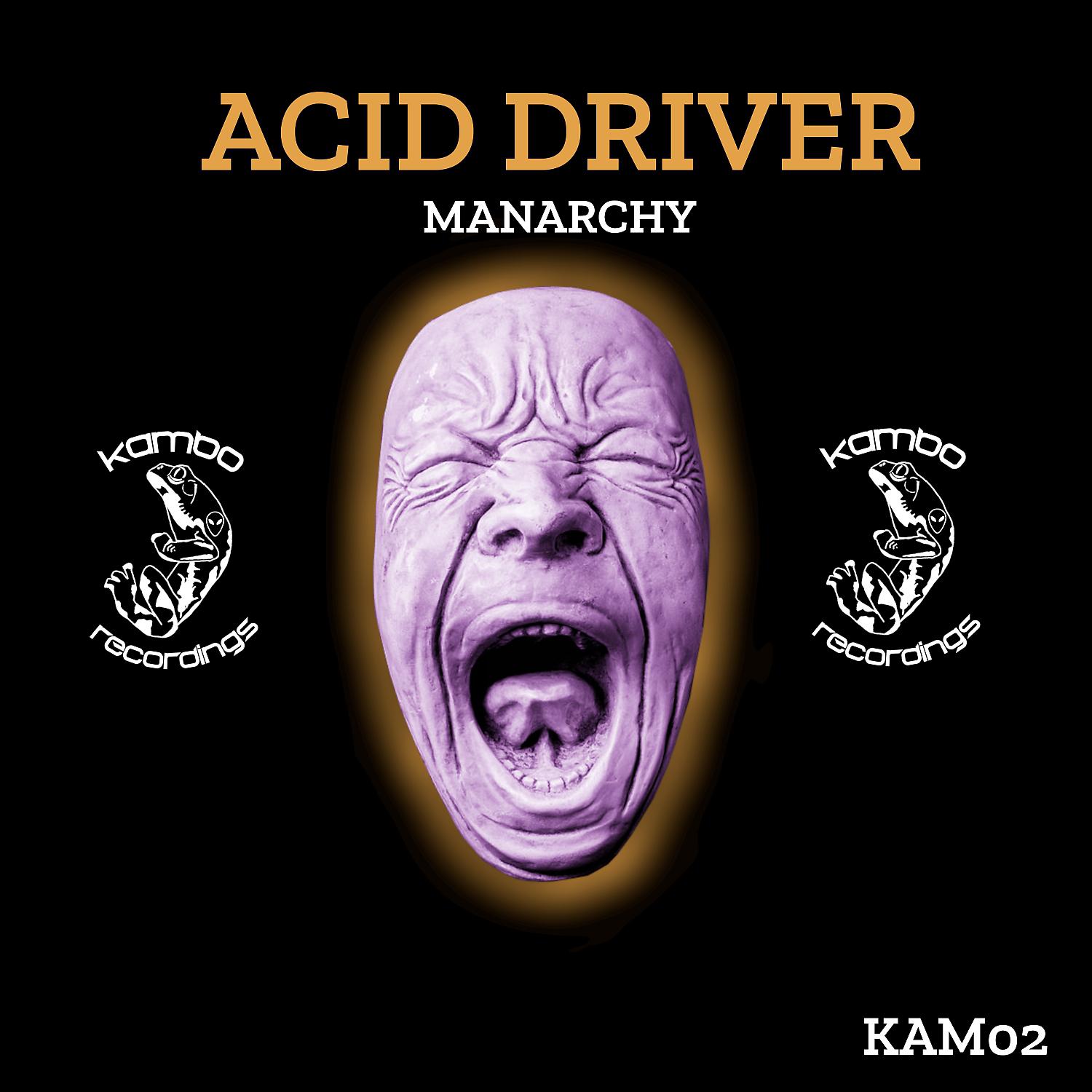 Постер альбома Acid Driver