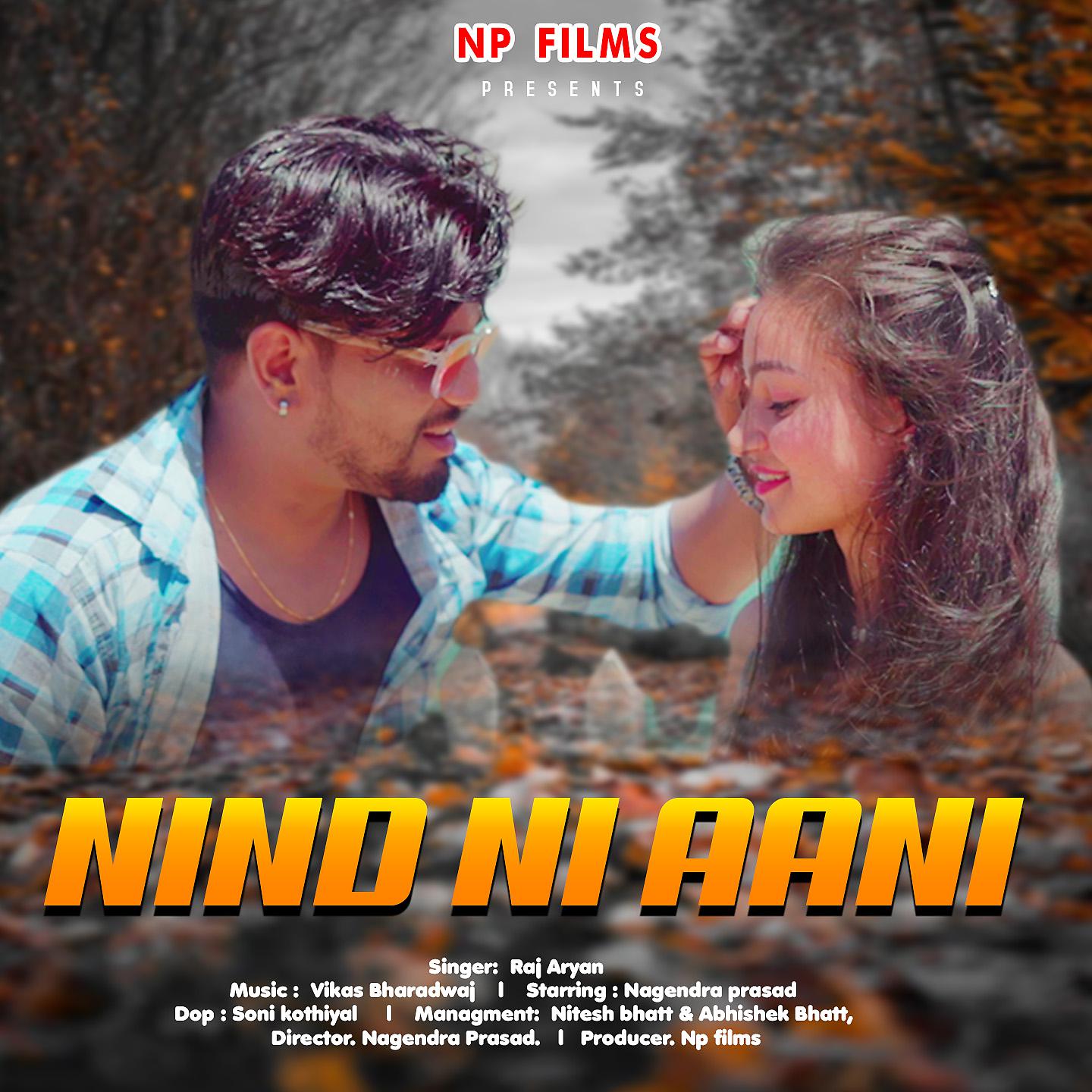 Постер альбома Nind Ni Aani