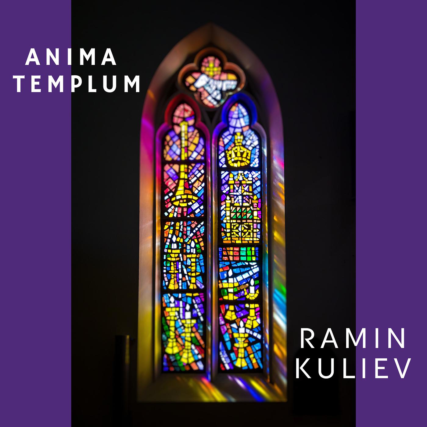 Постер альбома Anima Templum