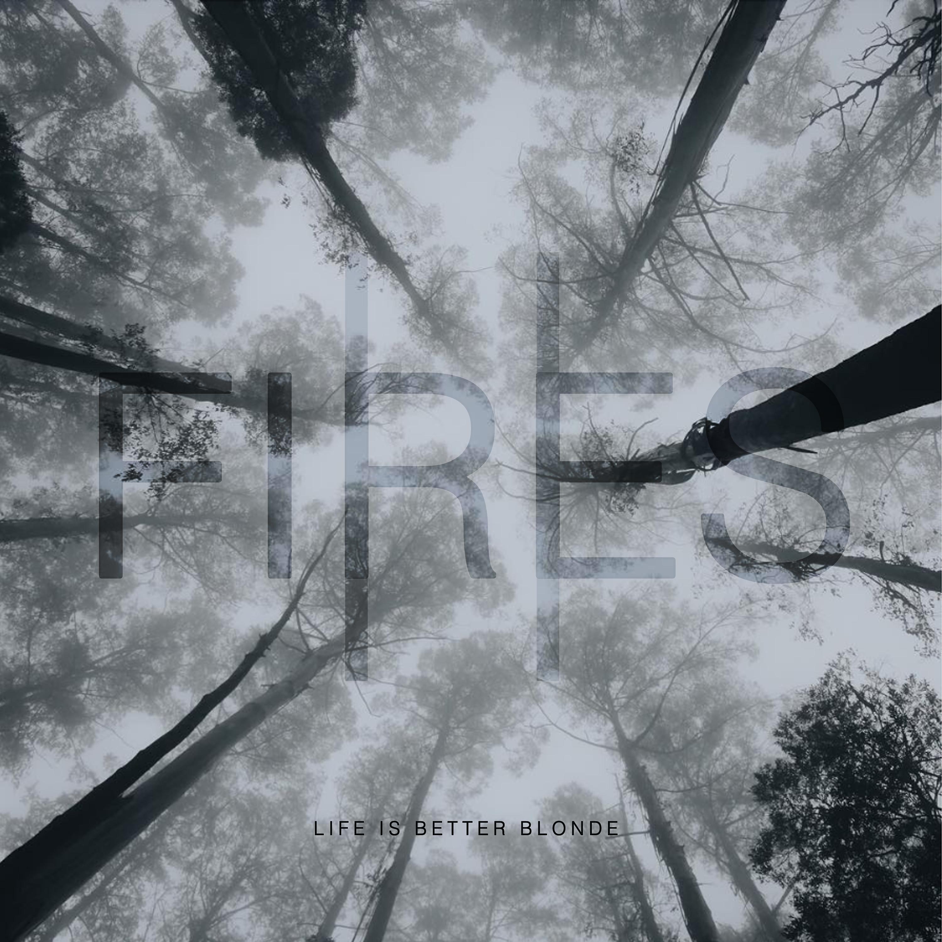 Постер альбома Fires II
