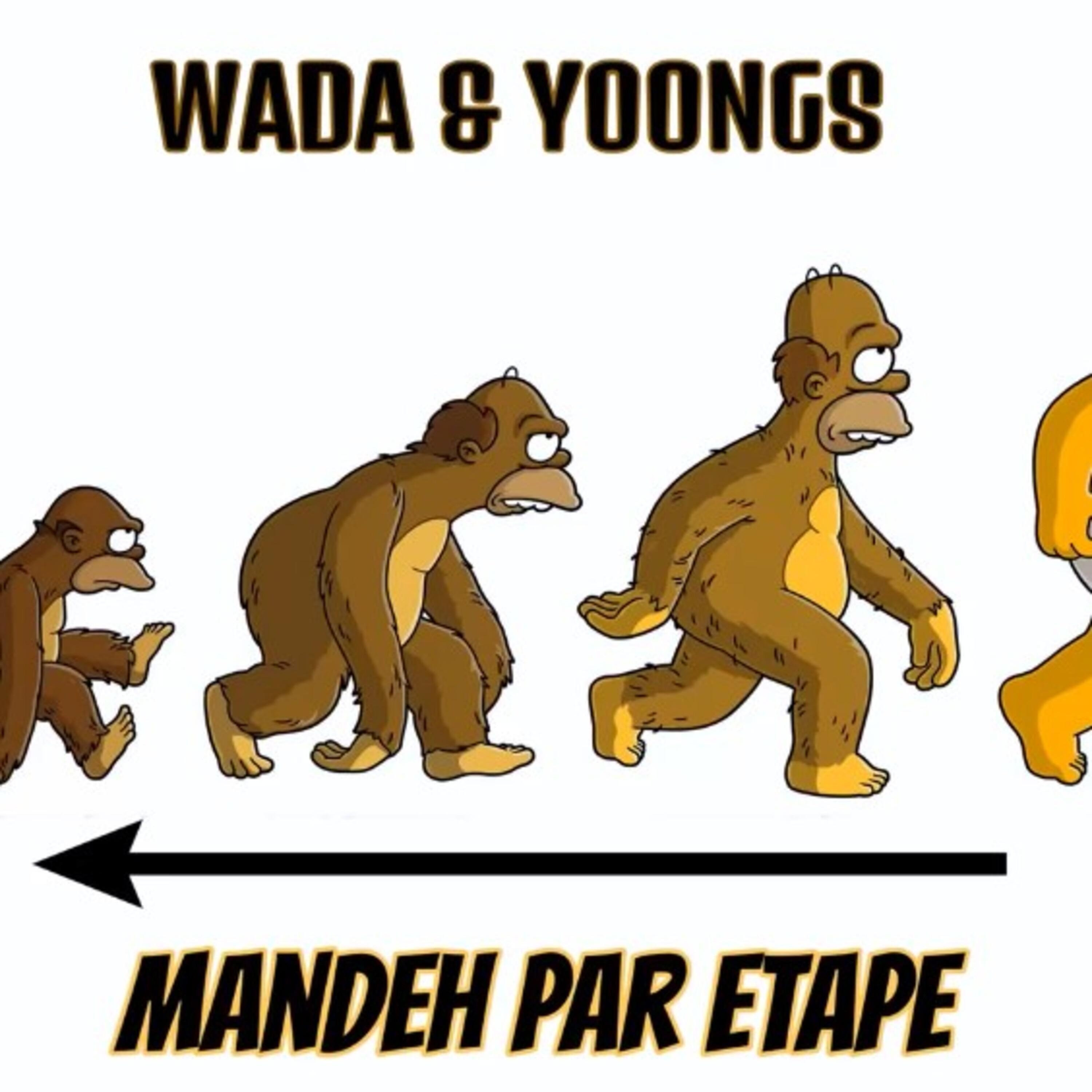 Постер альбома Mandeh par étape
