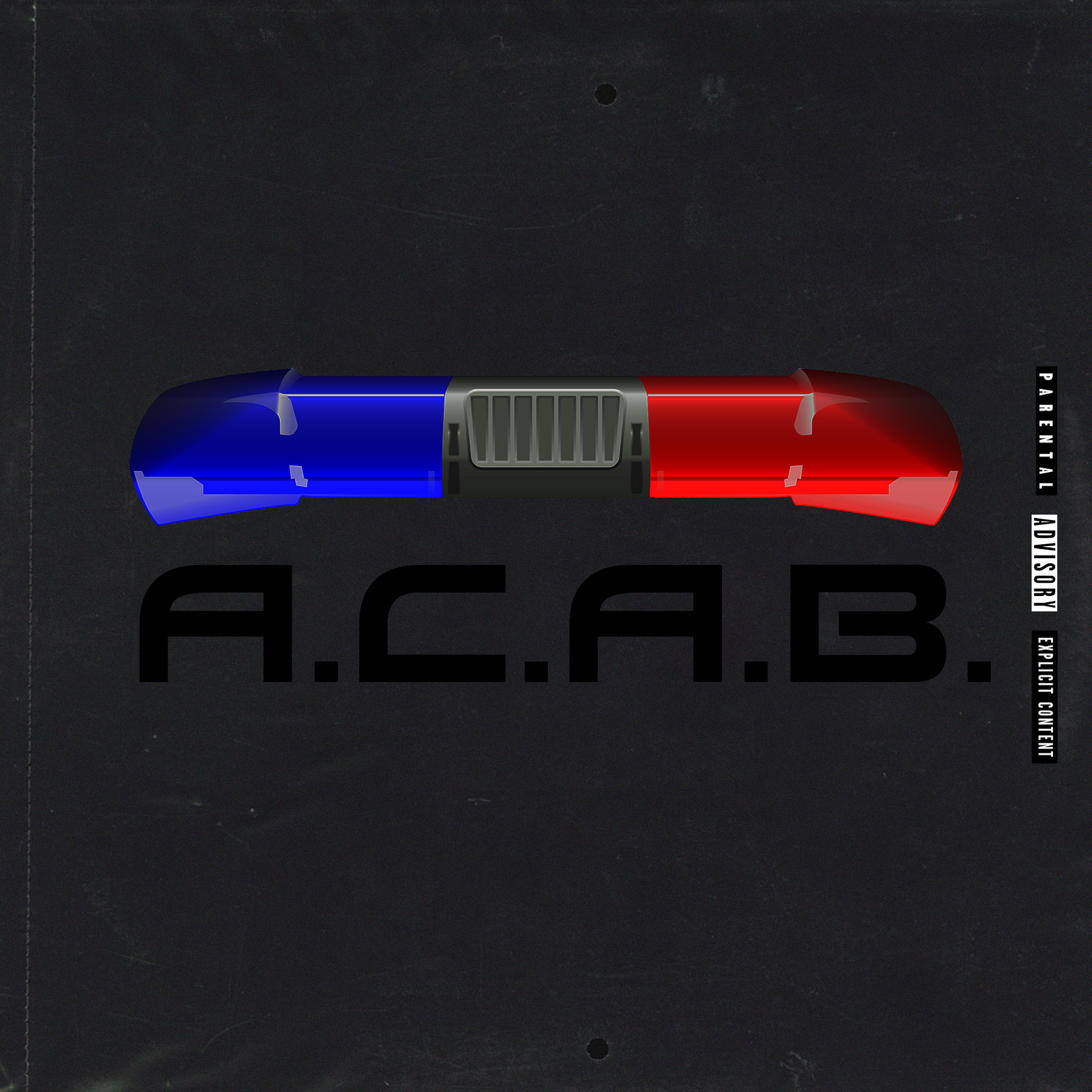 Постер альбома A. C. A. B.
