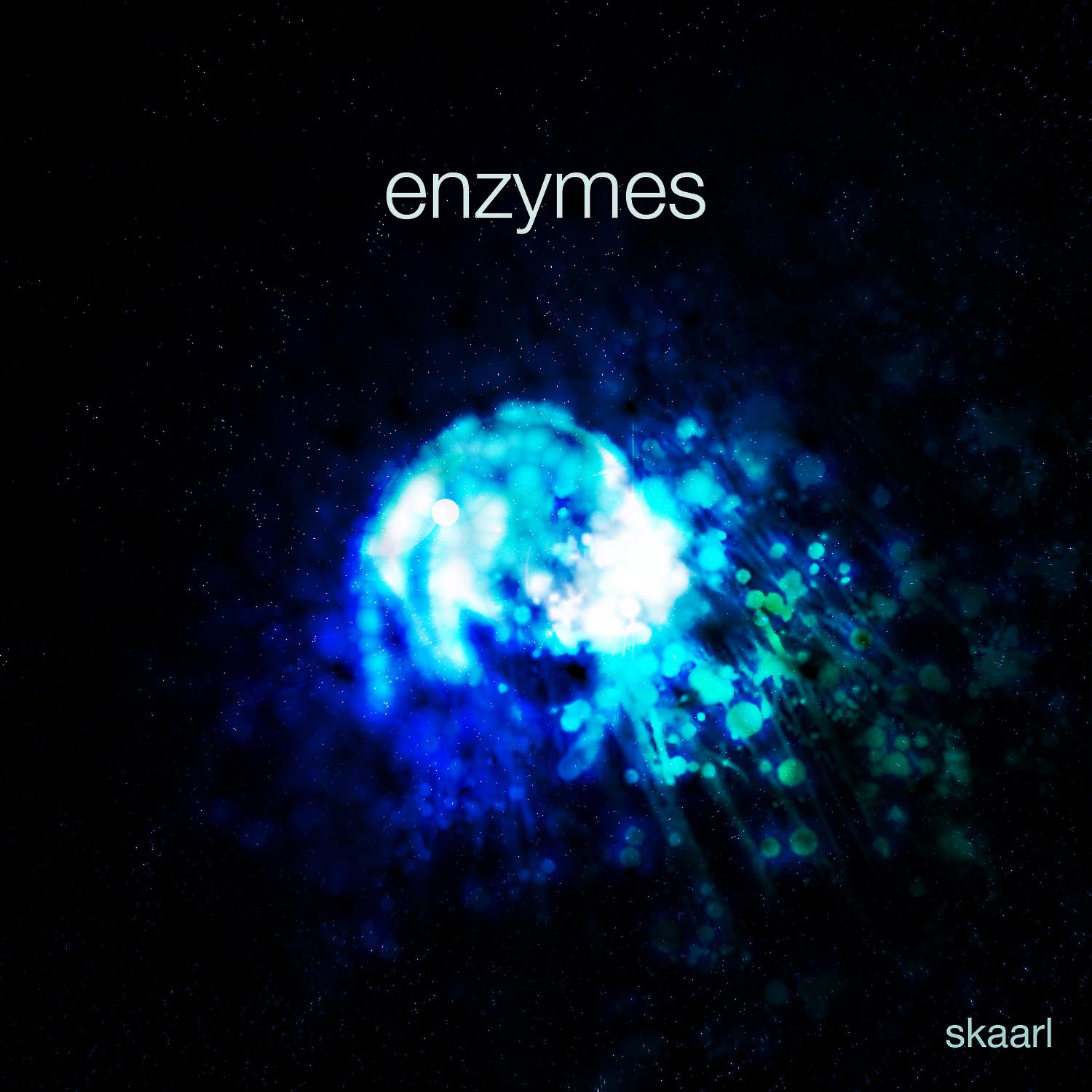 Постер альбома Enzymes