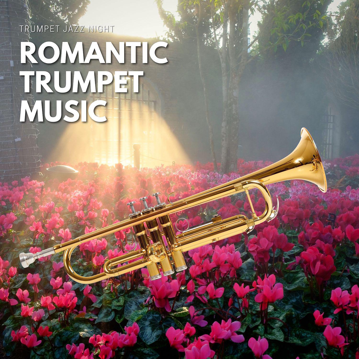 Постер альбома Romantic Trumpet Music