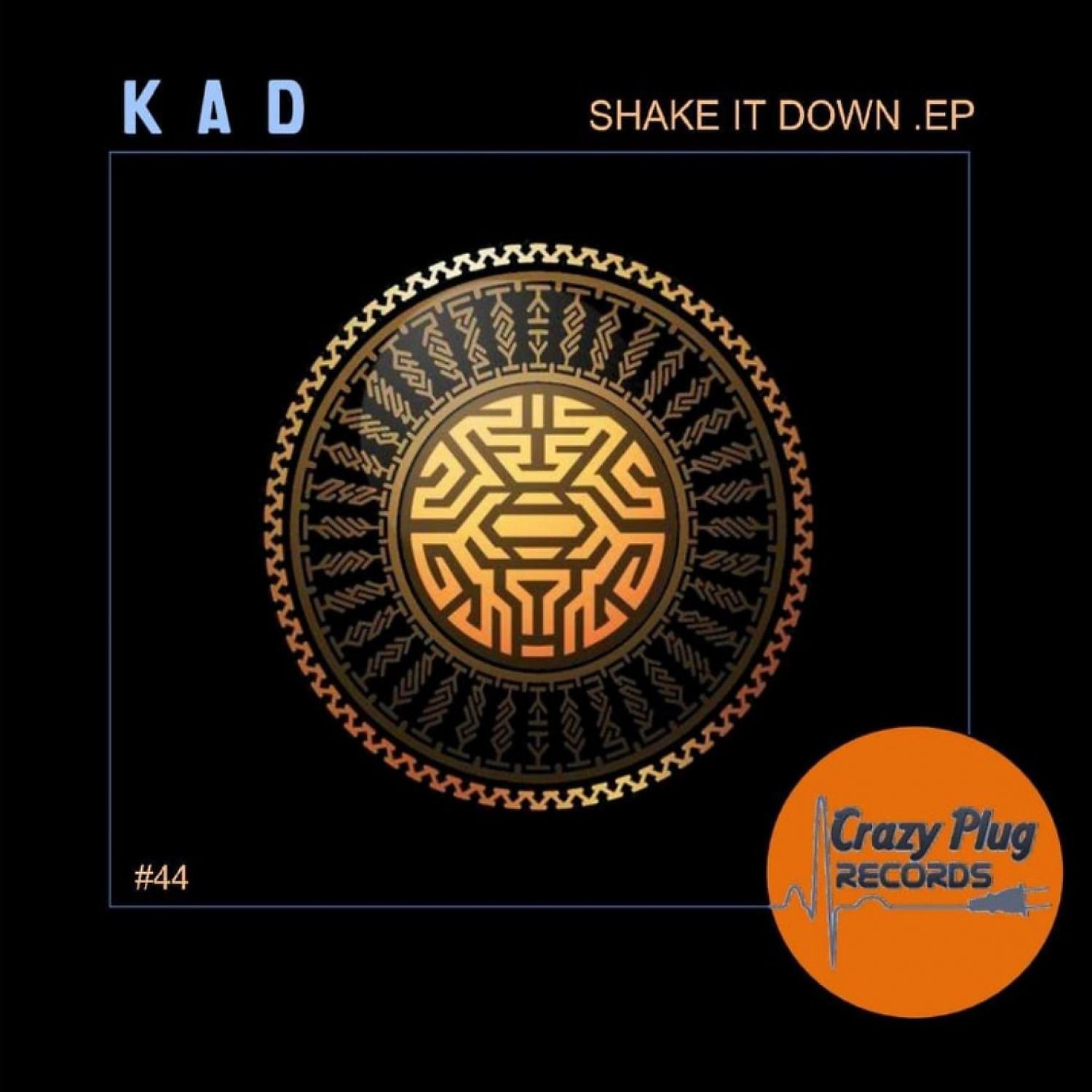 Постер альбома Shake it down EP
