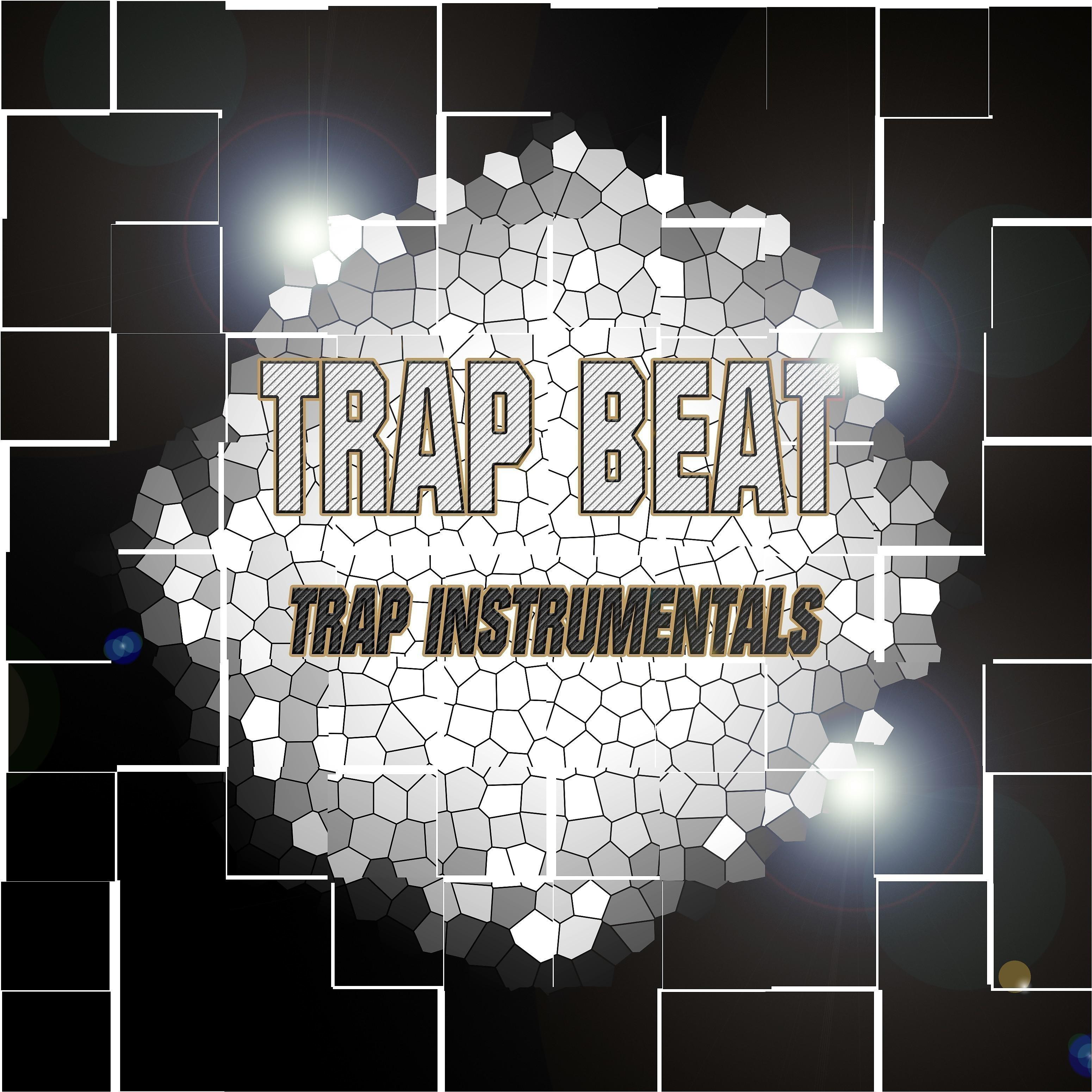 Постер альбома Trap Beat Trap (Instrumentals)