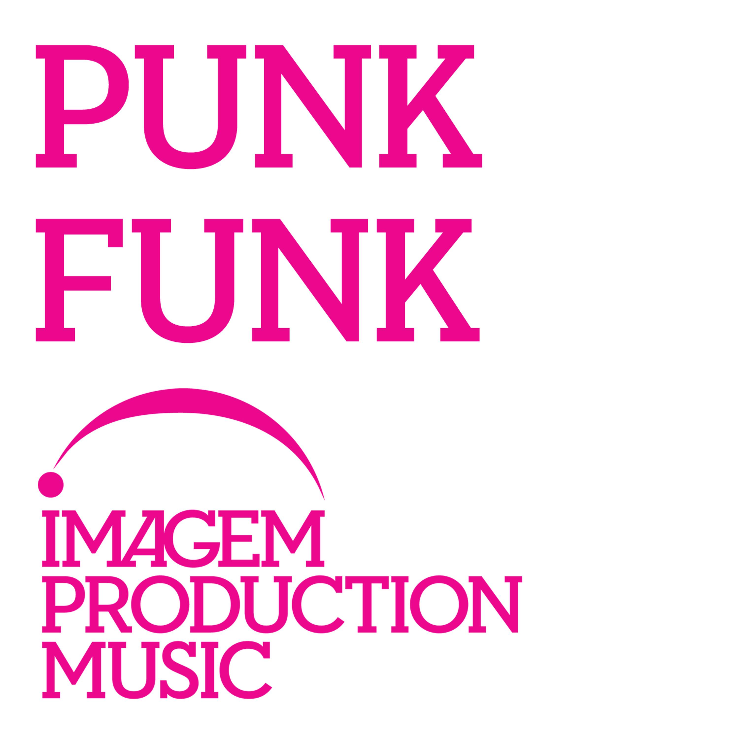 Постер альбома Punk Funk