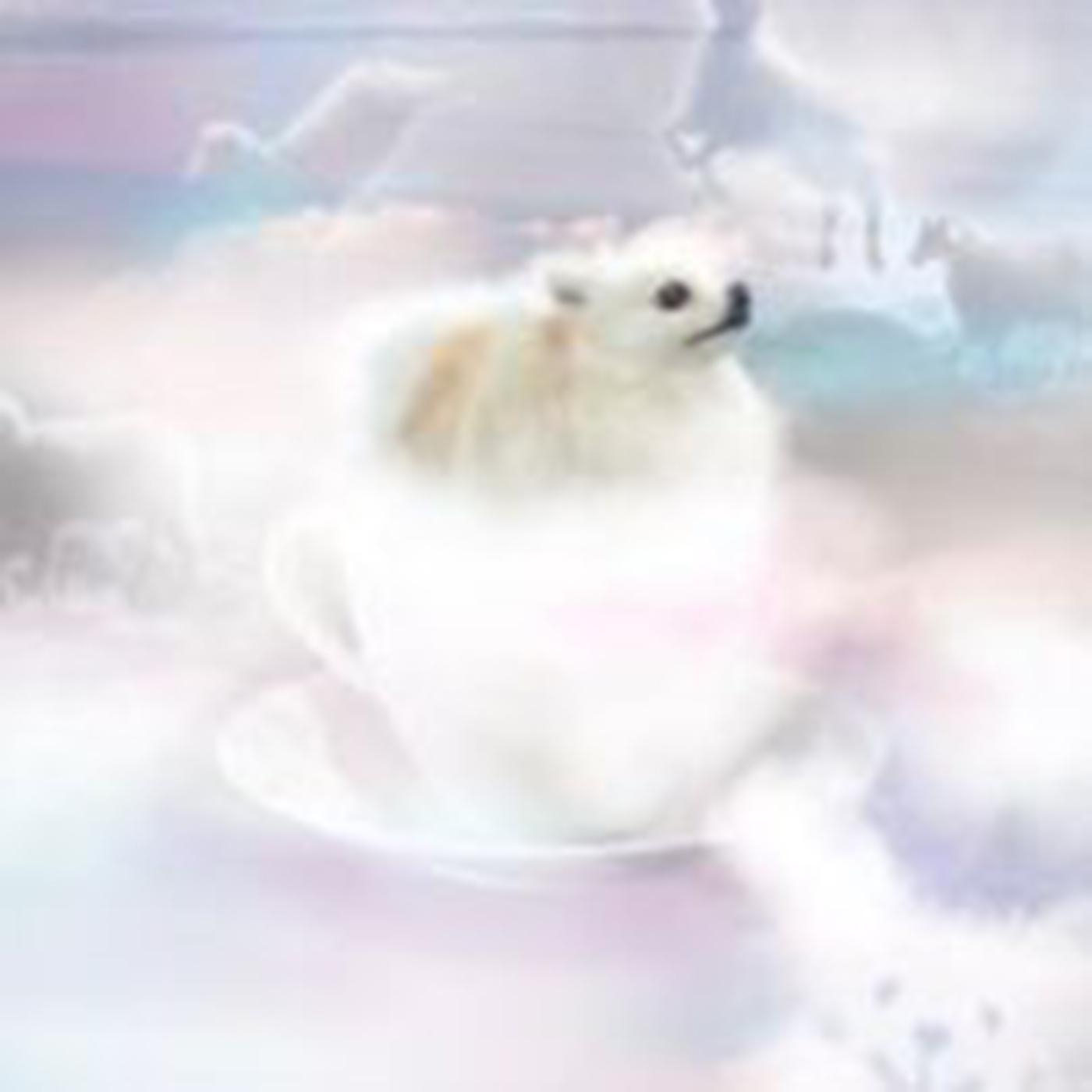 Постер альбома dreaming of your latte art