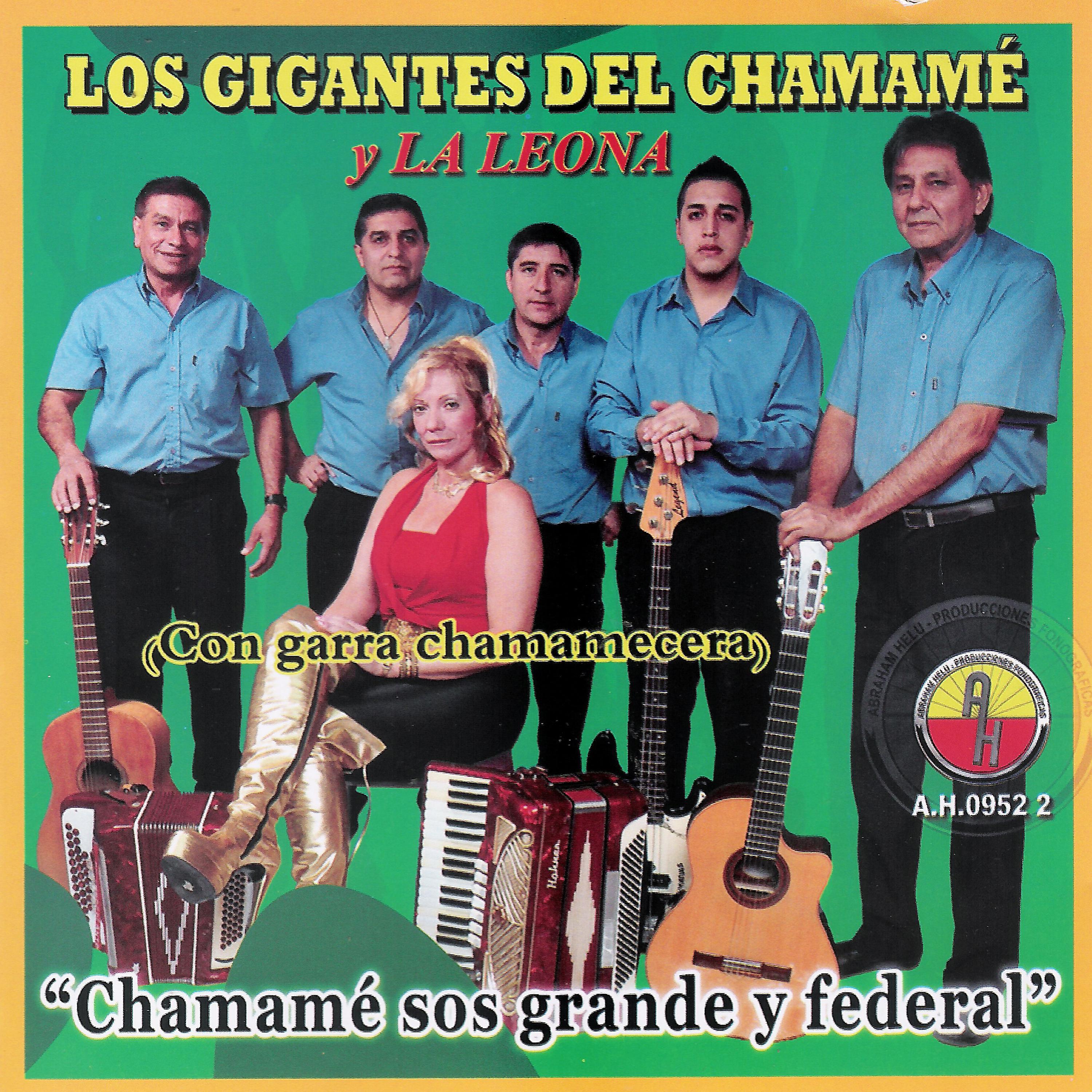 Постер альбома Chamamé Sos Grande y Federal