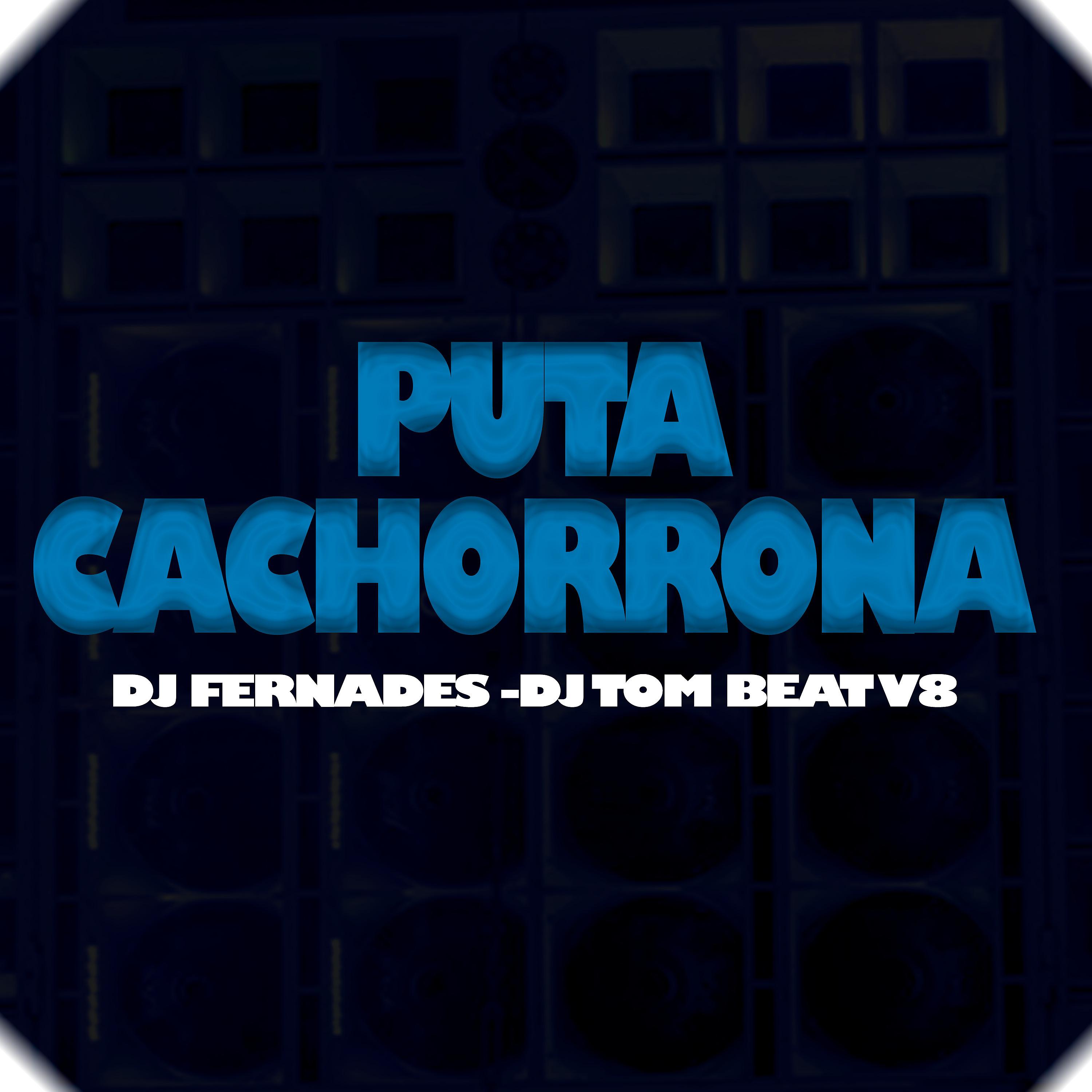Постер альбома Puta Cachorrona