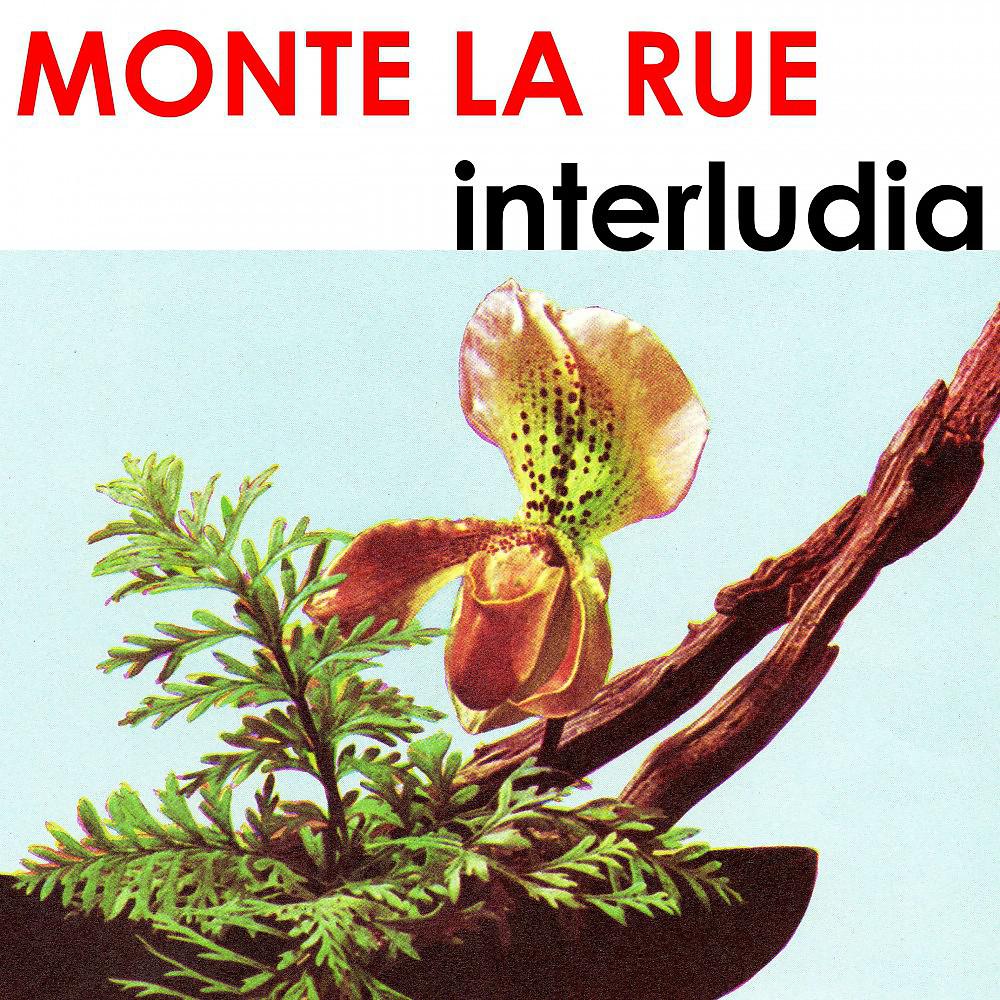 Постер альбома Interludia