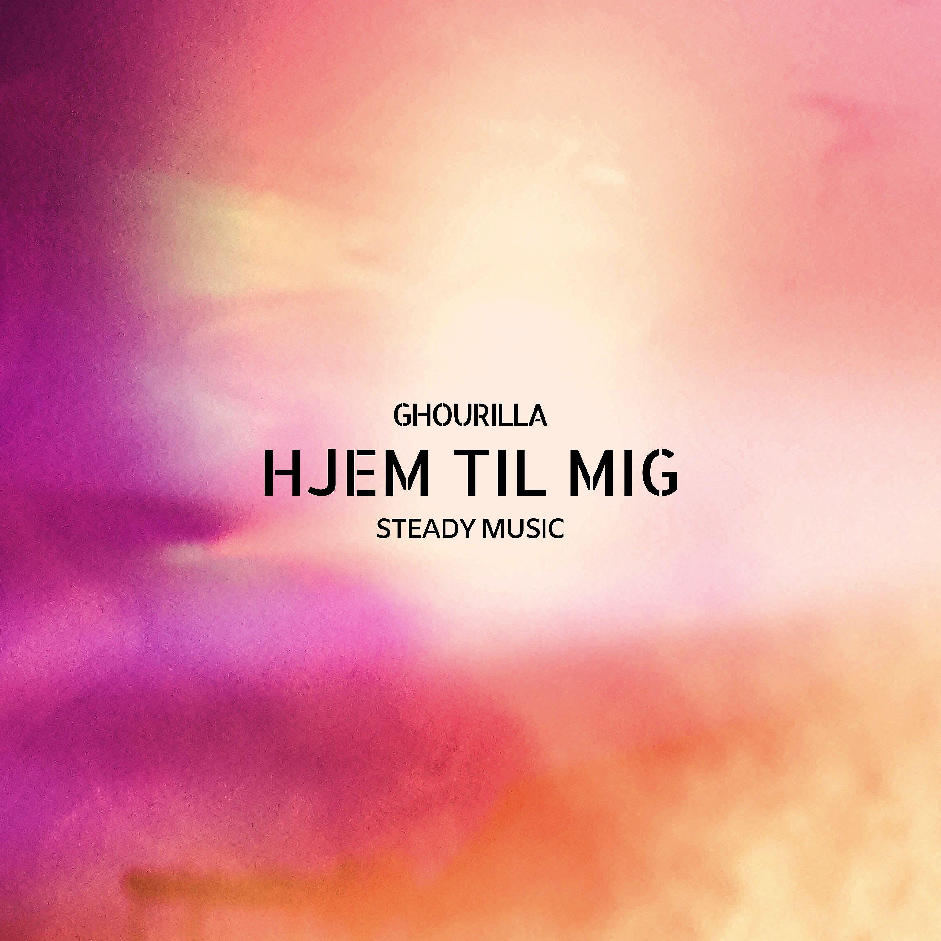 Постер альбома Hjem Til Mig