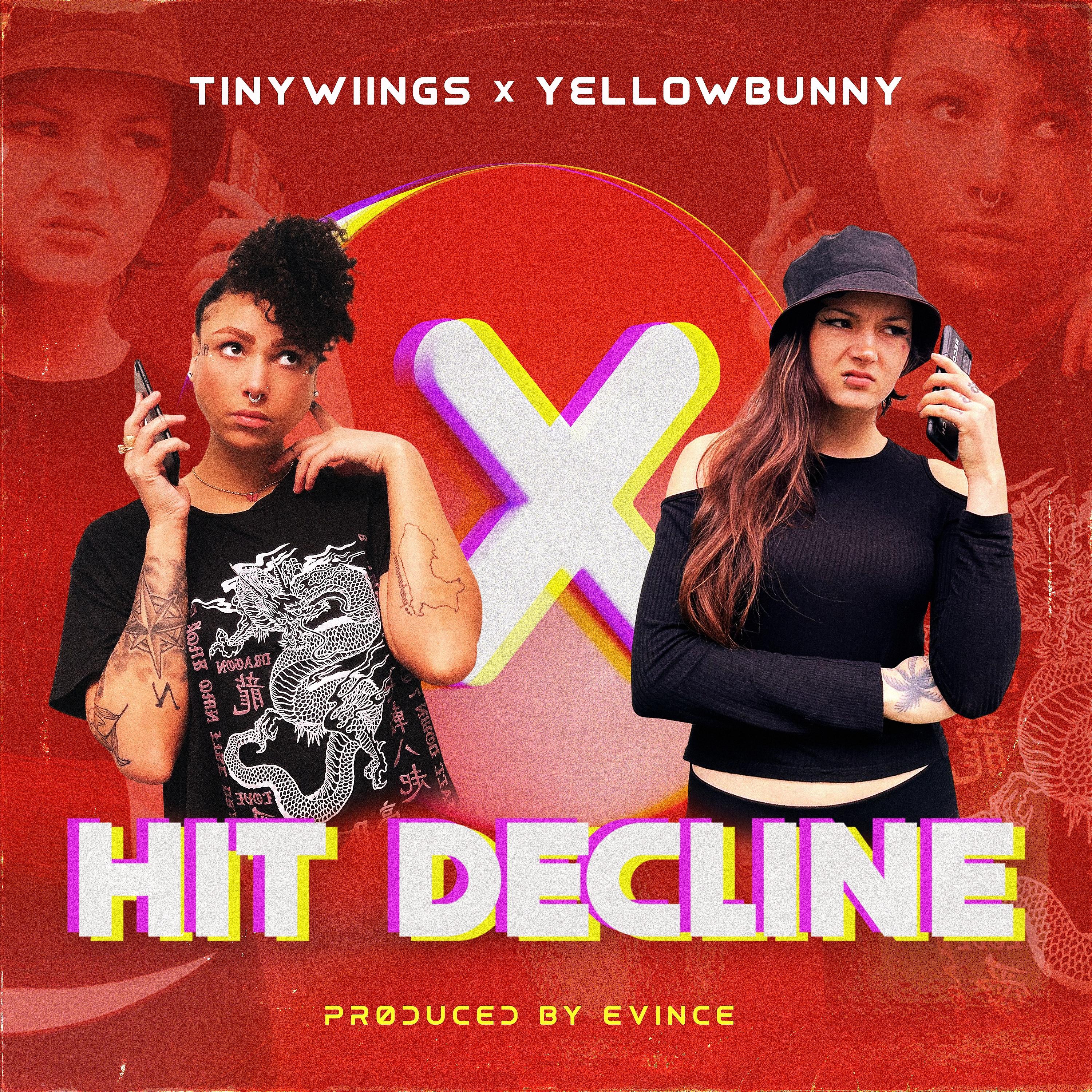 Постер альбома Hit Decline