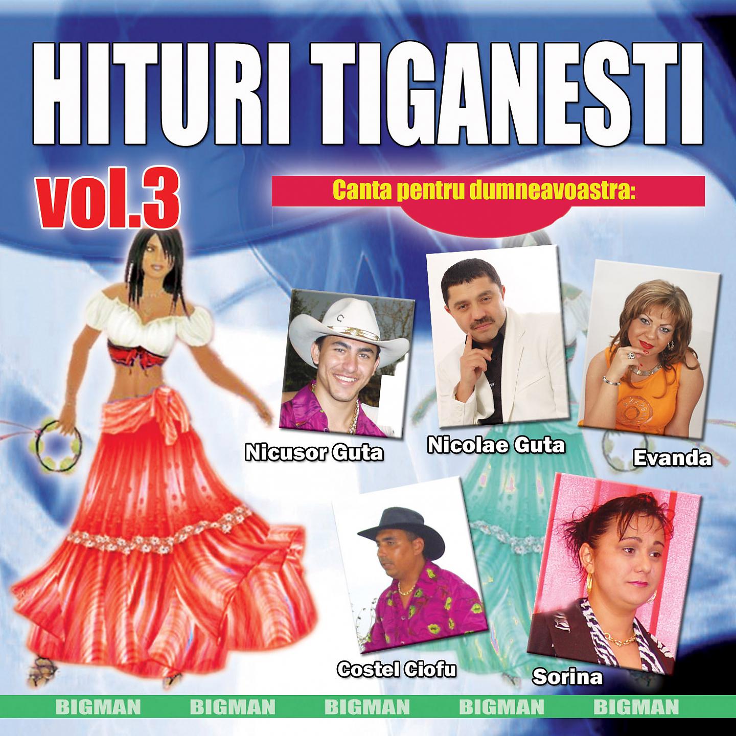 Постер альбома Hituri Tiganesti, Vol. 3