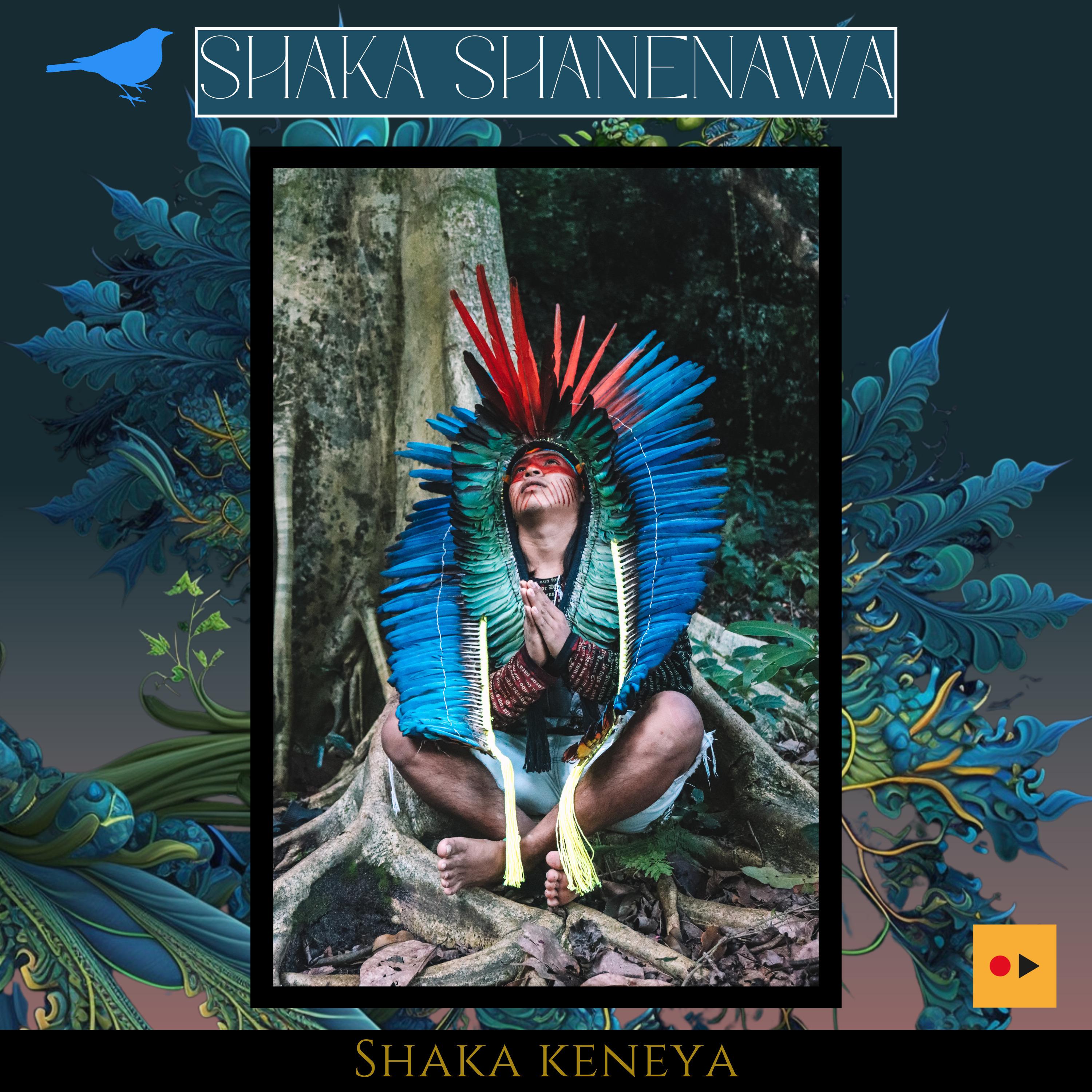 Постер альбома Shaka Keneya
