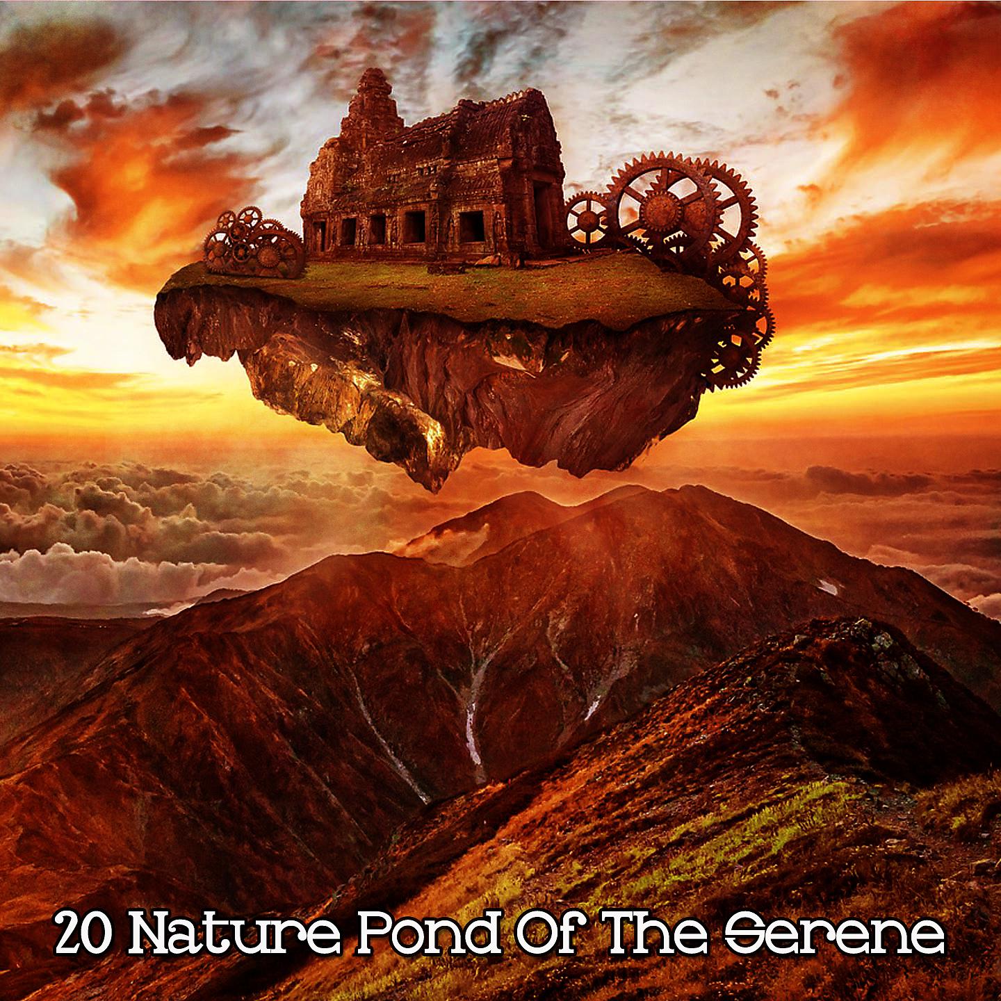 Постер альбома 20 Природный пруд безмятежности