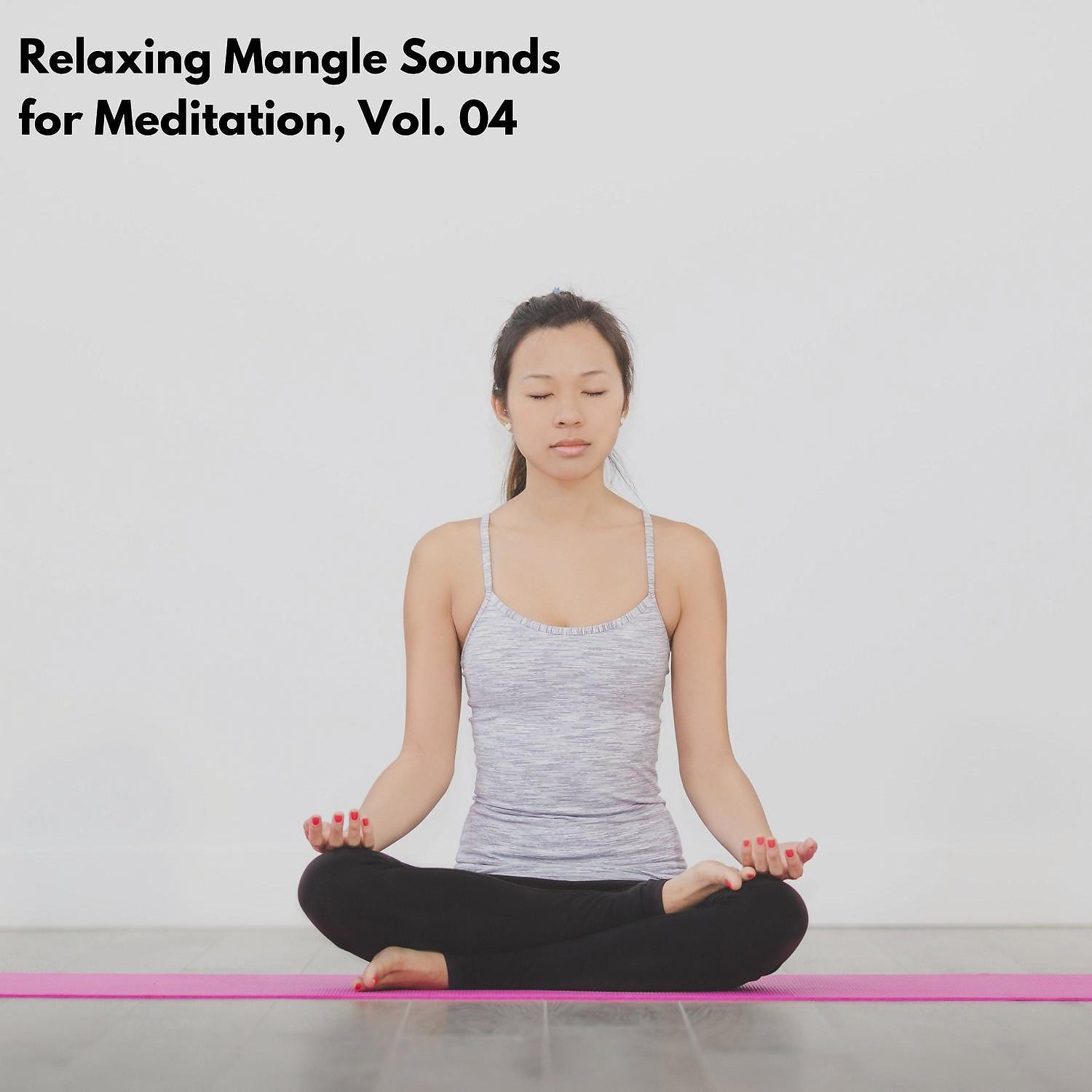 Постер альбома Relaxing Mangle Sounds for Meditation, Vol. 04