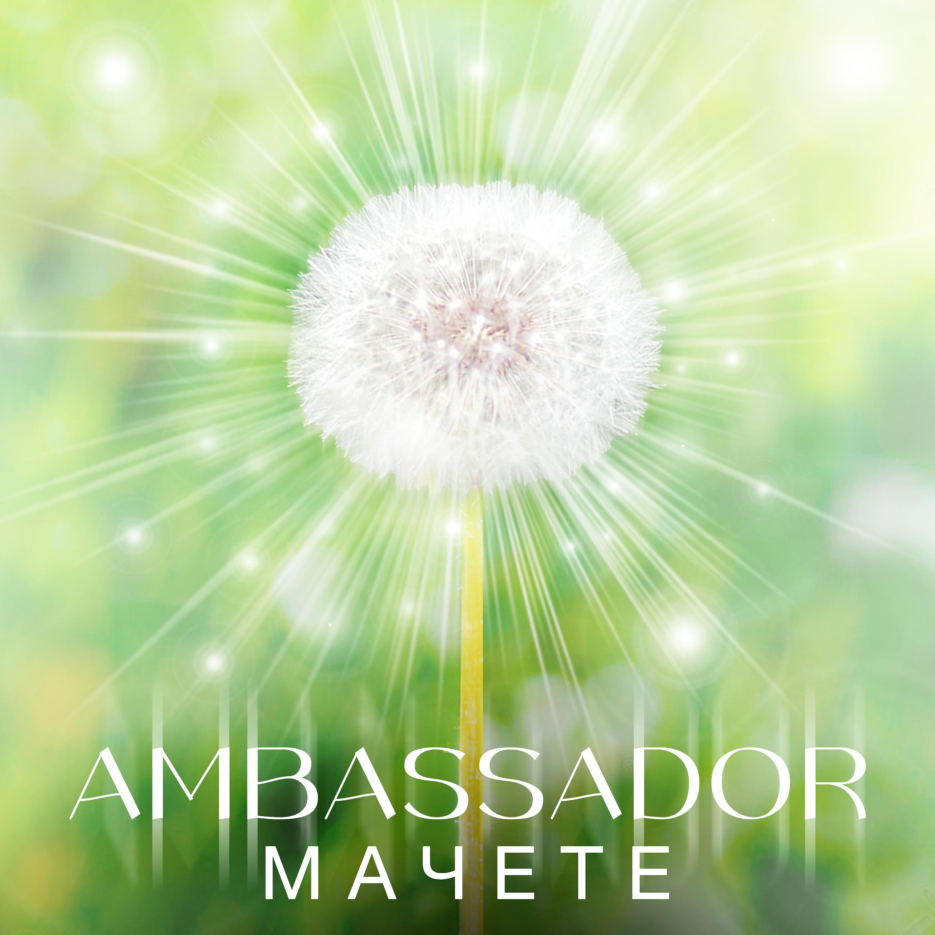 Постер альбома AMBASSADOR