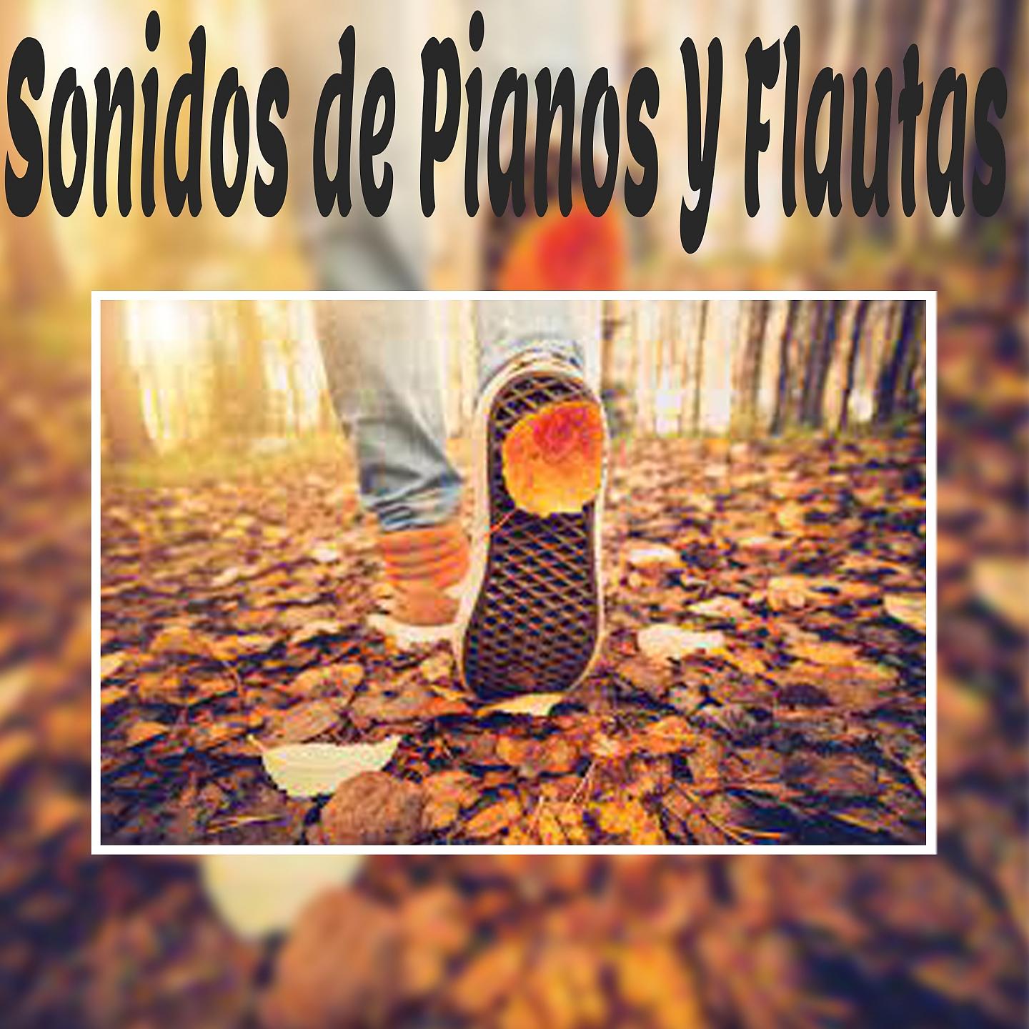 Постер альбома Sonidos de Pianos Y Flautas