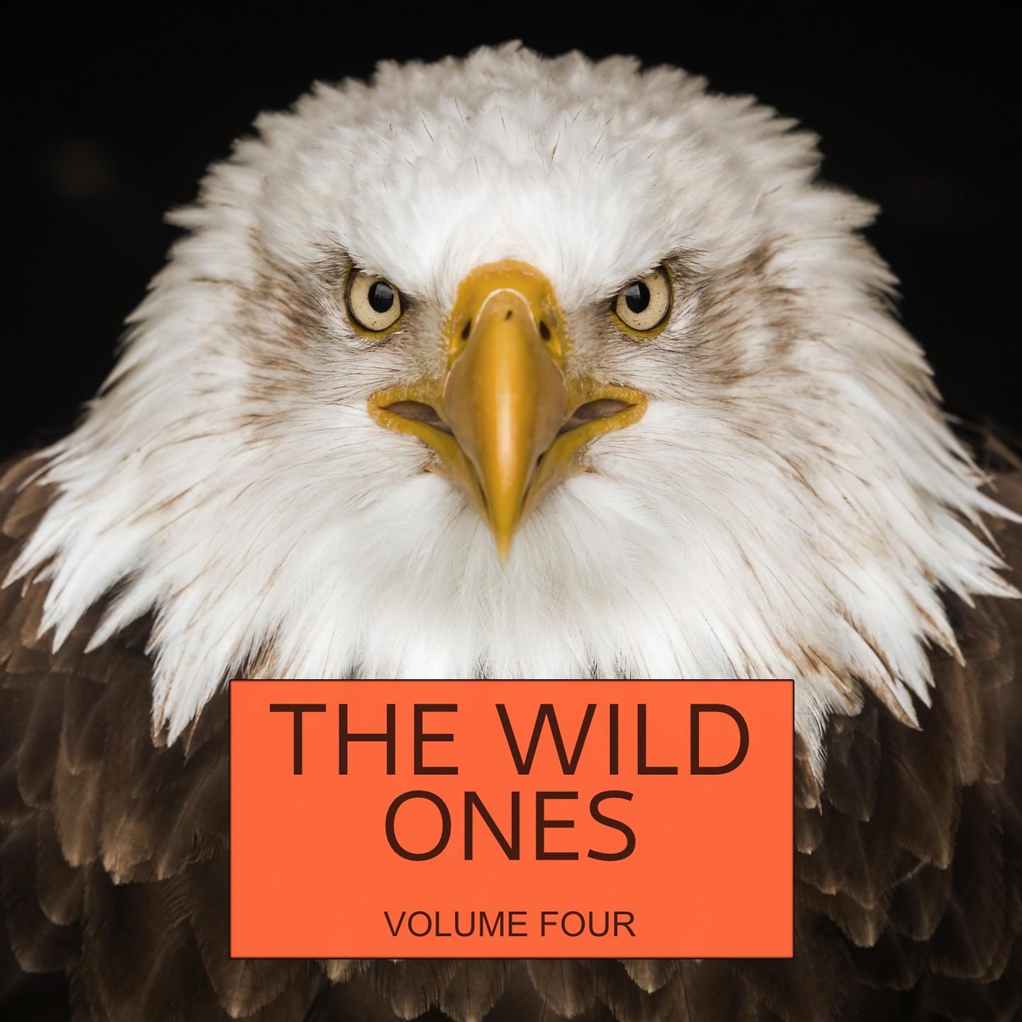 Постер альбома The Wild Ones, Vol. 4