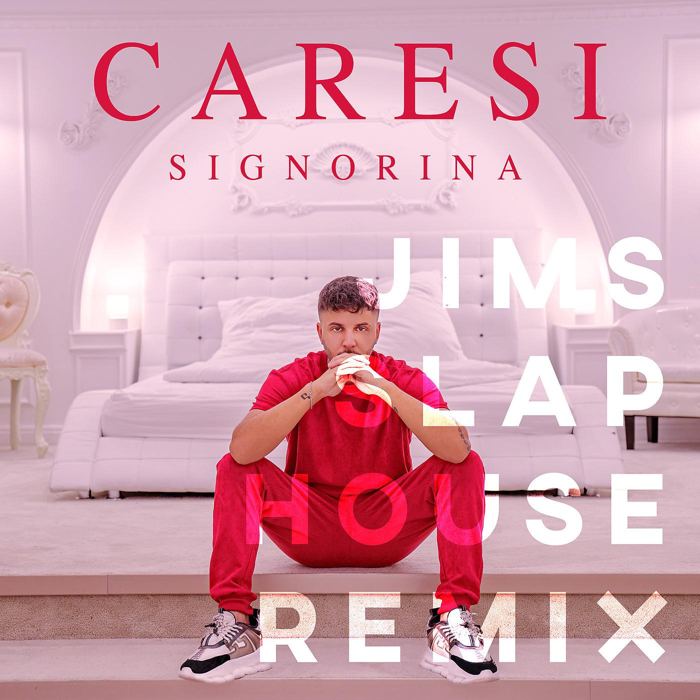 Постер альбома Signorina (Jims Slap House Remix)