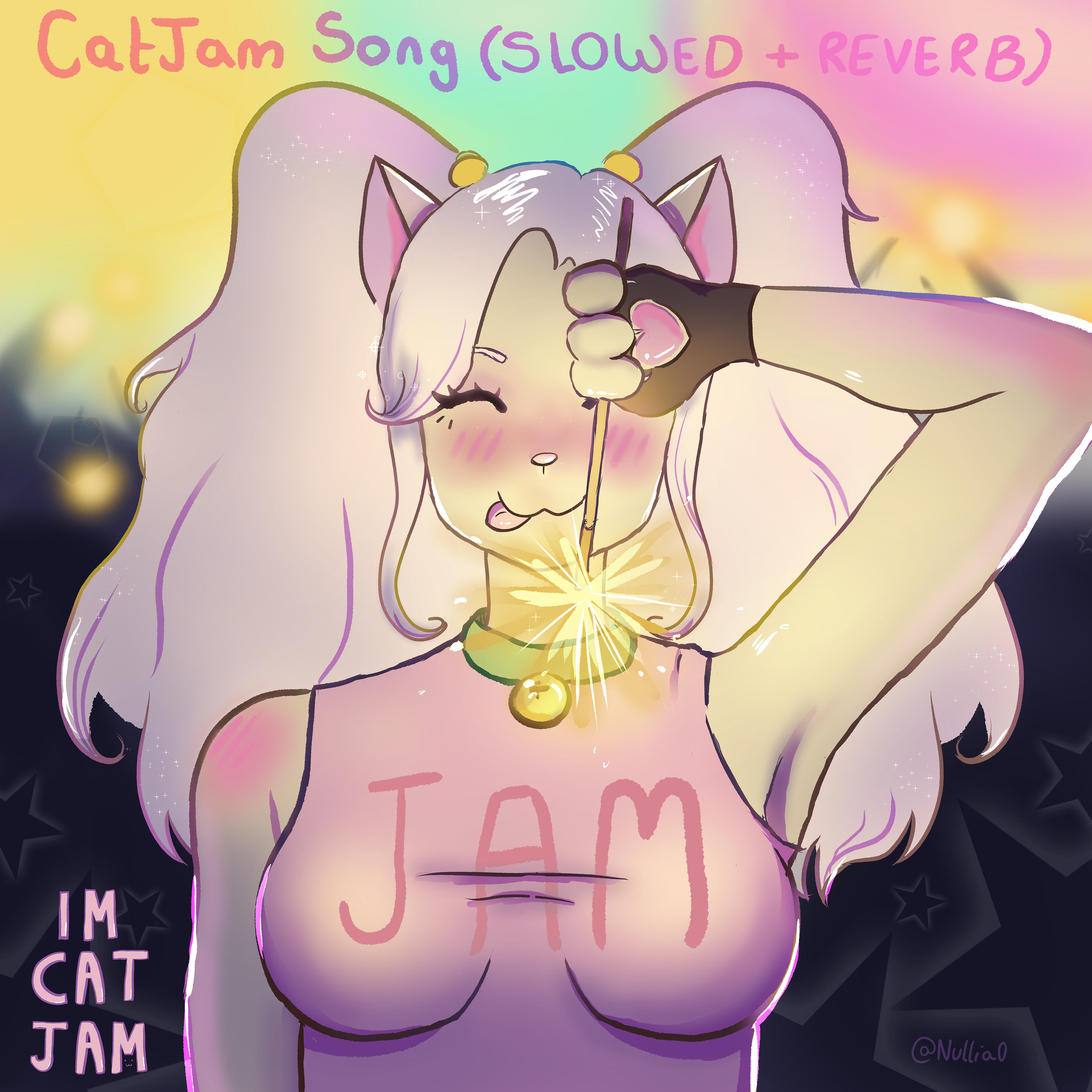 Постер альбома Catjam Song (Slowed + Reverb)