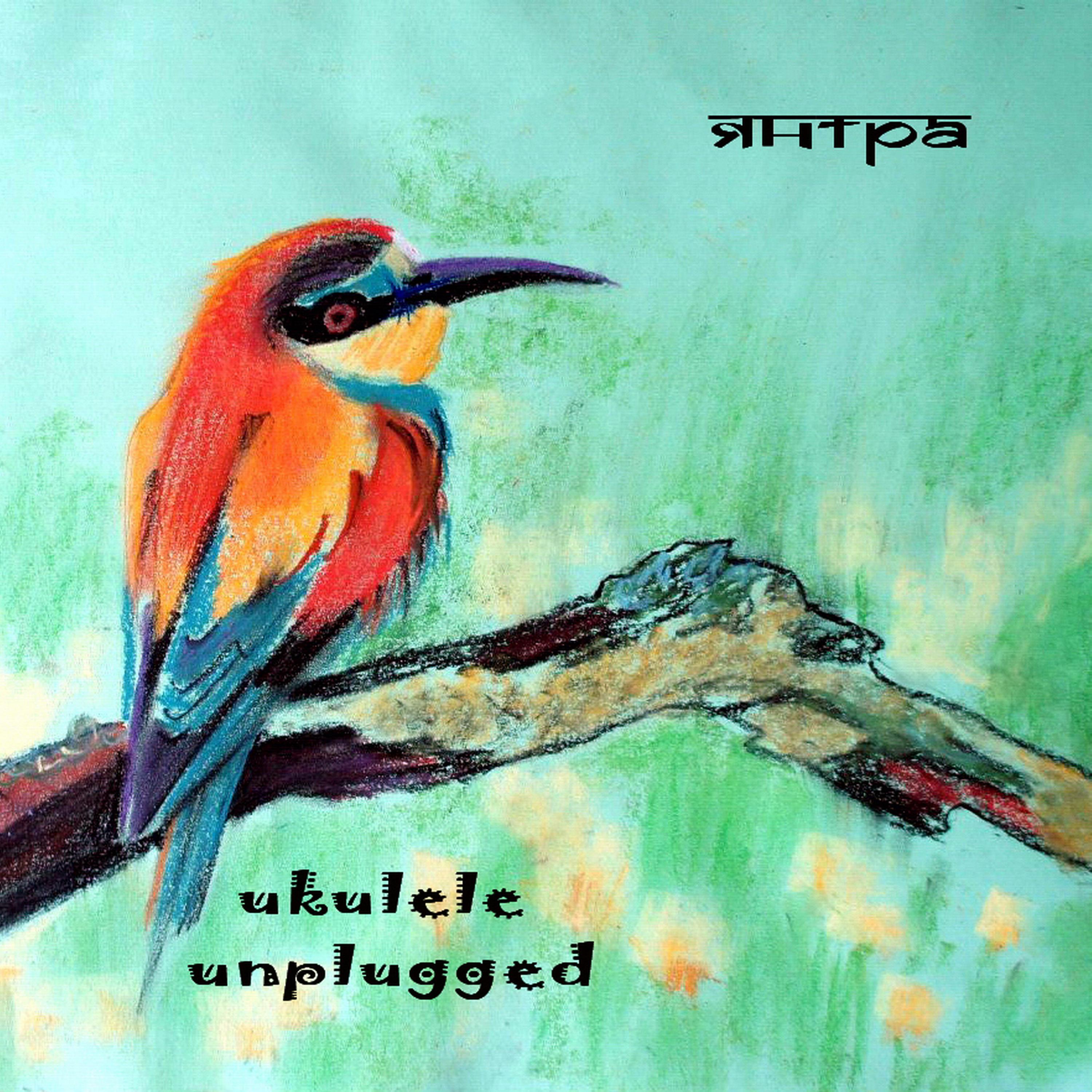 Постер альбома Ukulele Unplugged