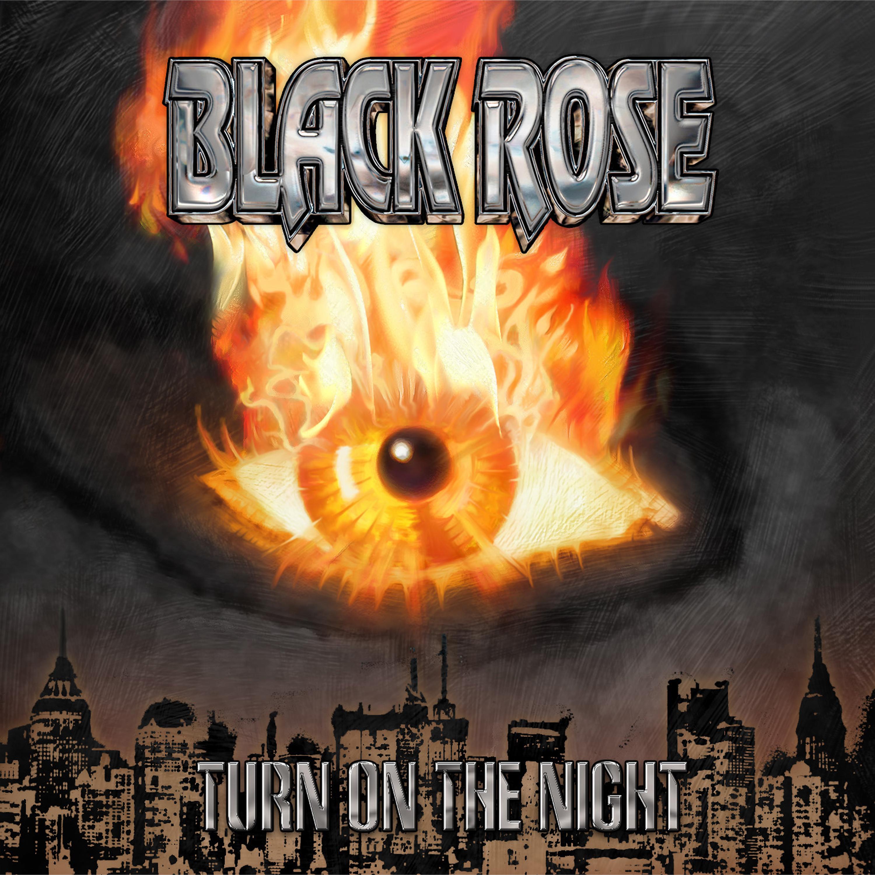 Постер альбома Turn on the Night