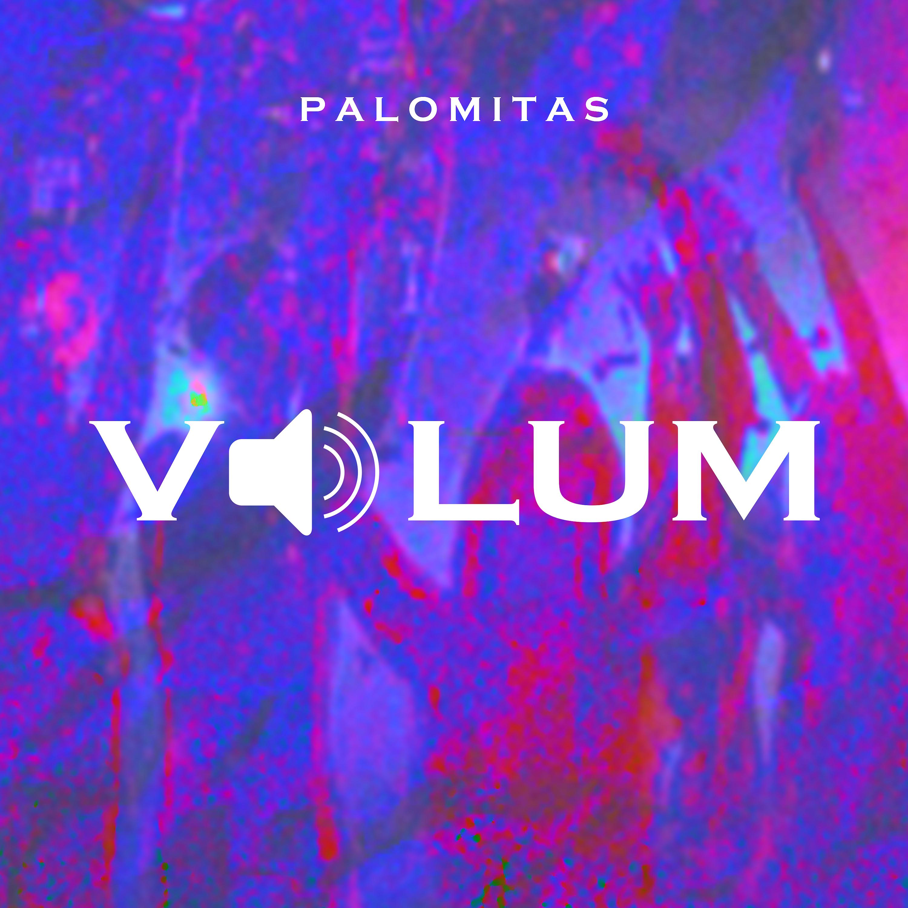 Постер альбома Volum
