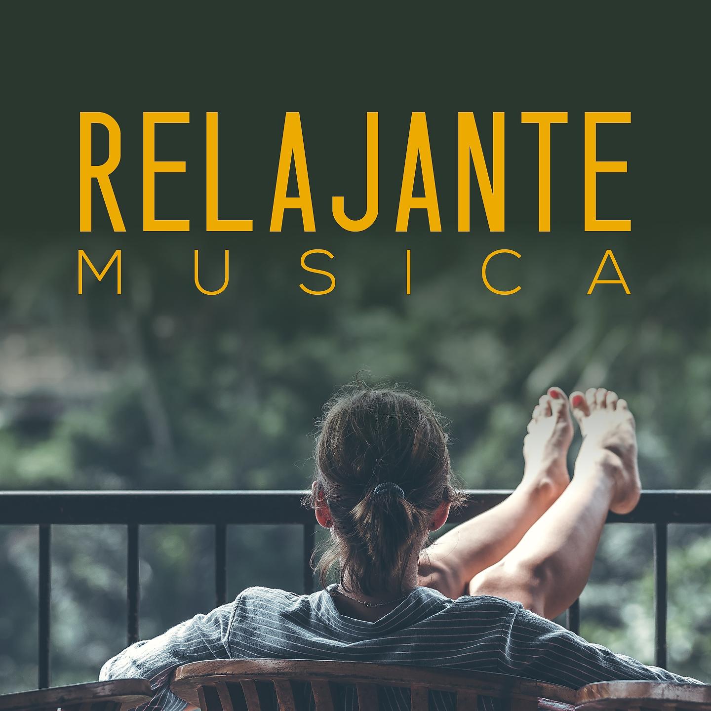 Постер альбома Relajante Music
