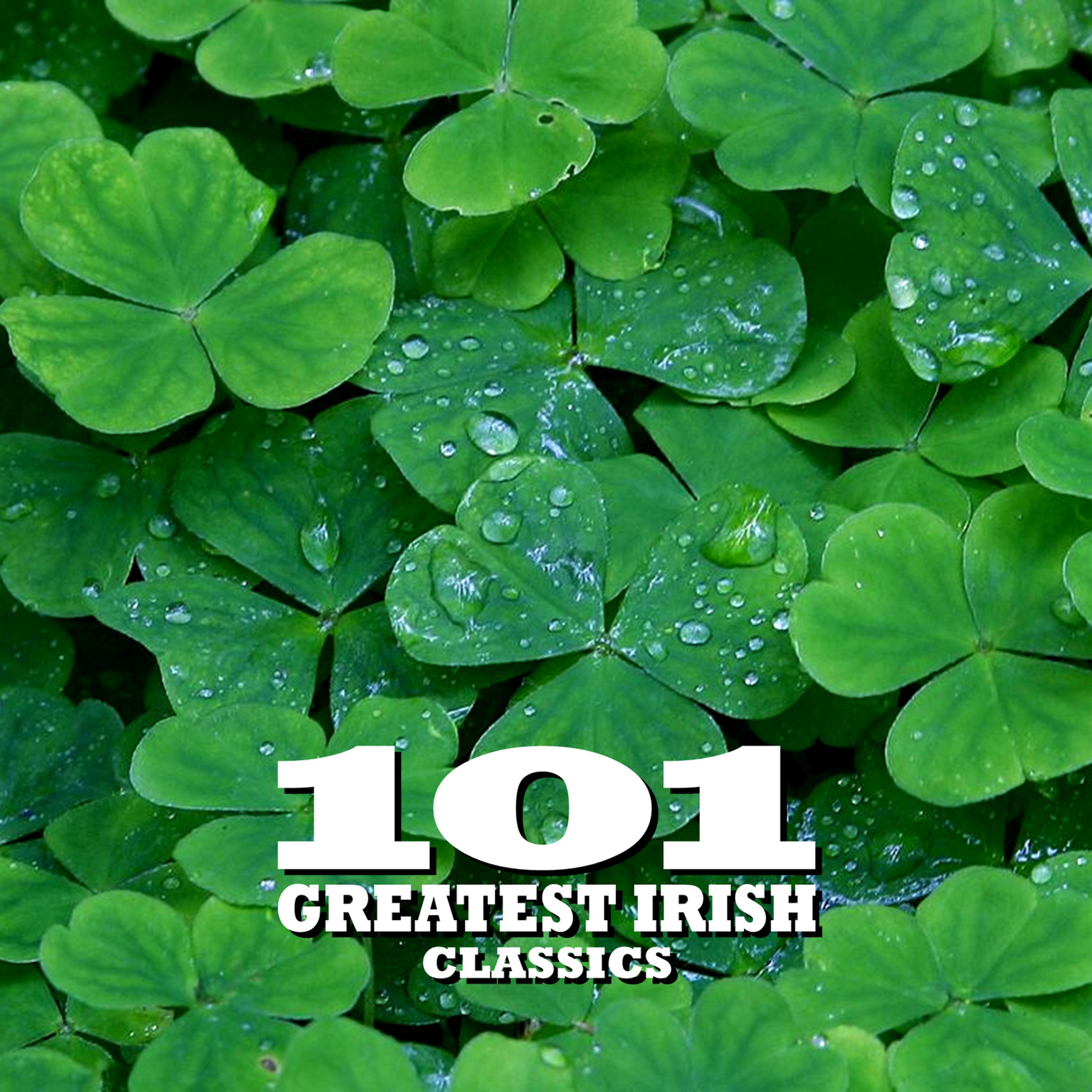 Постер альбома 101 Essential Irish Classics