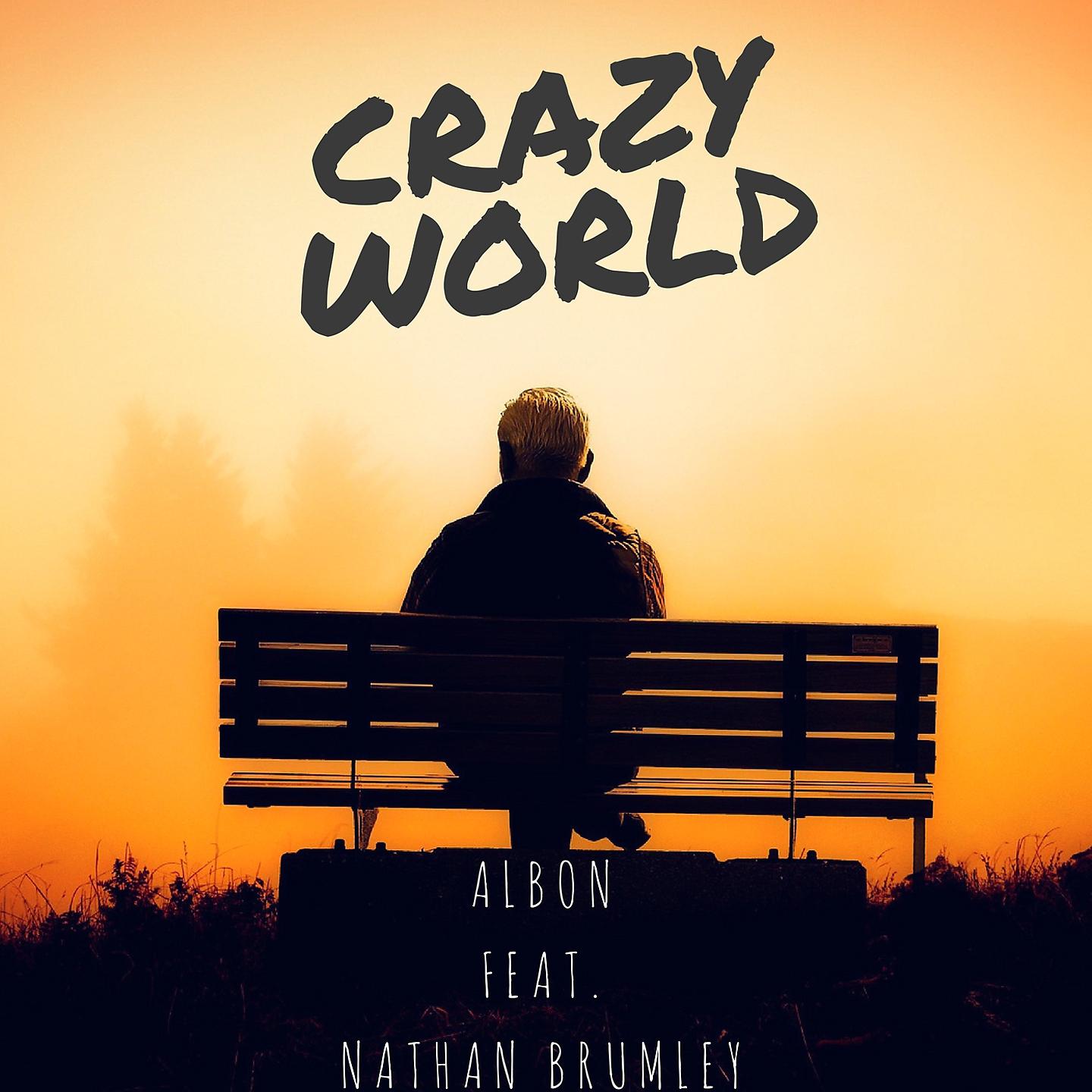 Постер альбома Crazy World