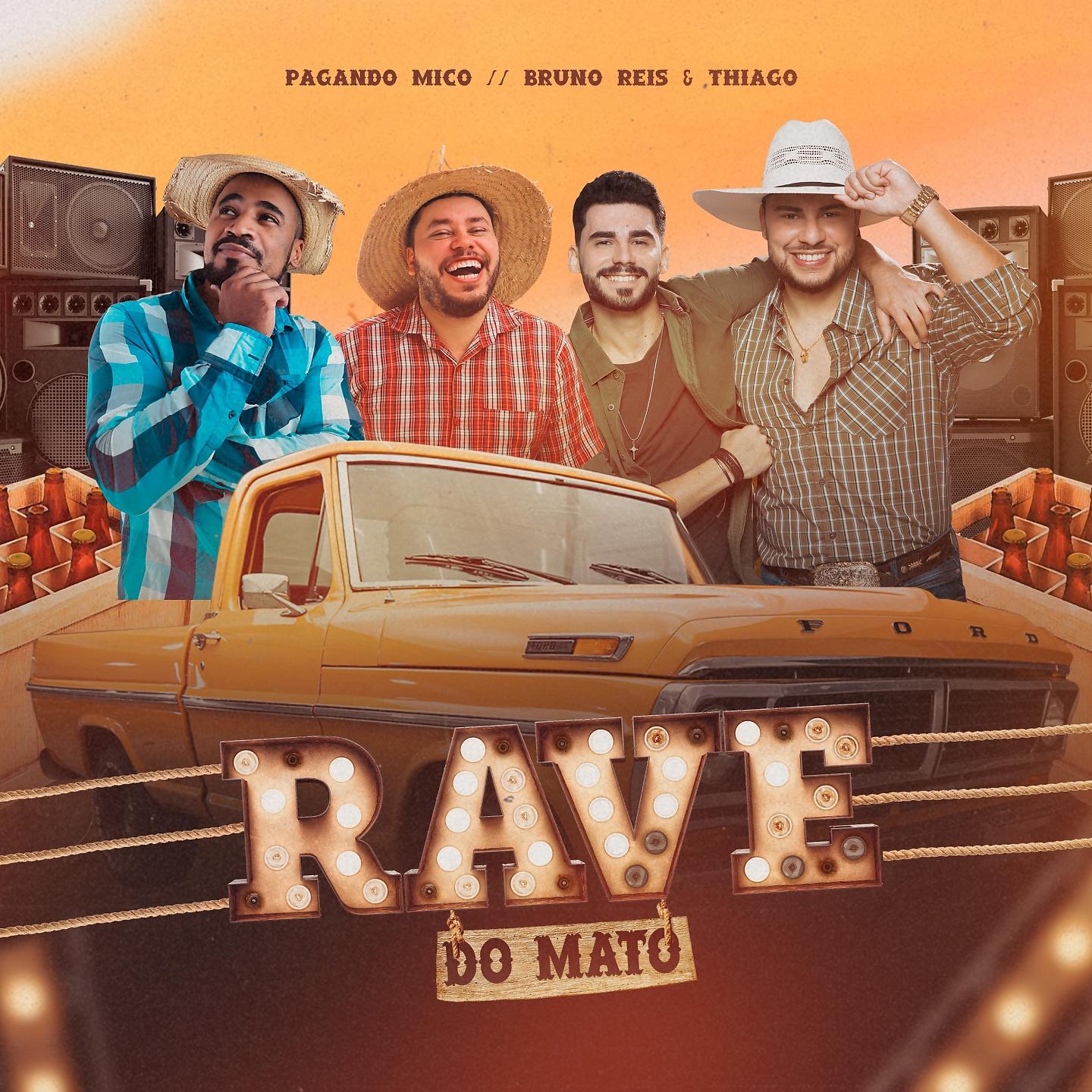 Постер альбома Rave do Mato