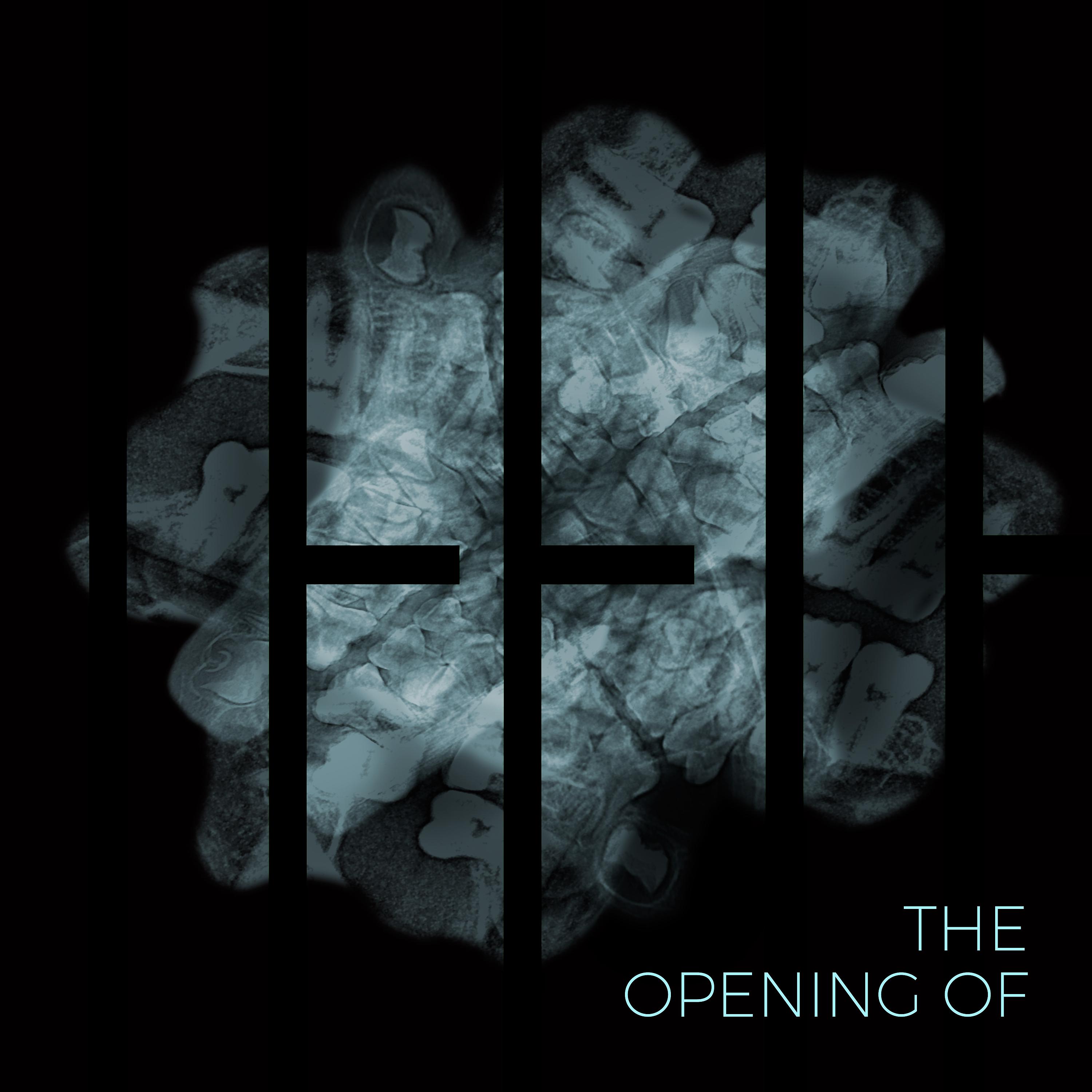 Постер альбома The Opening Of