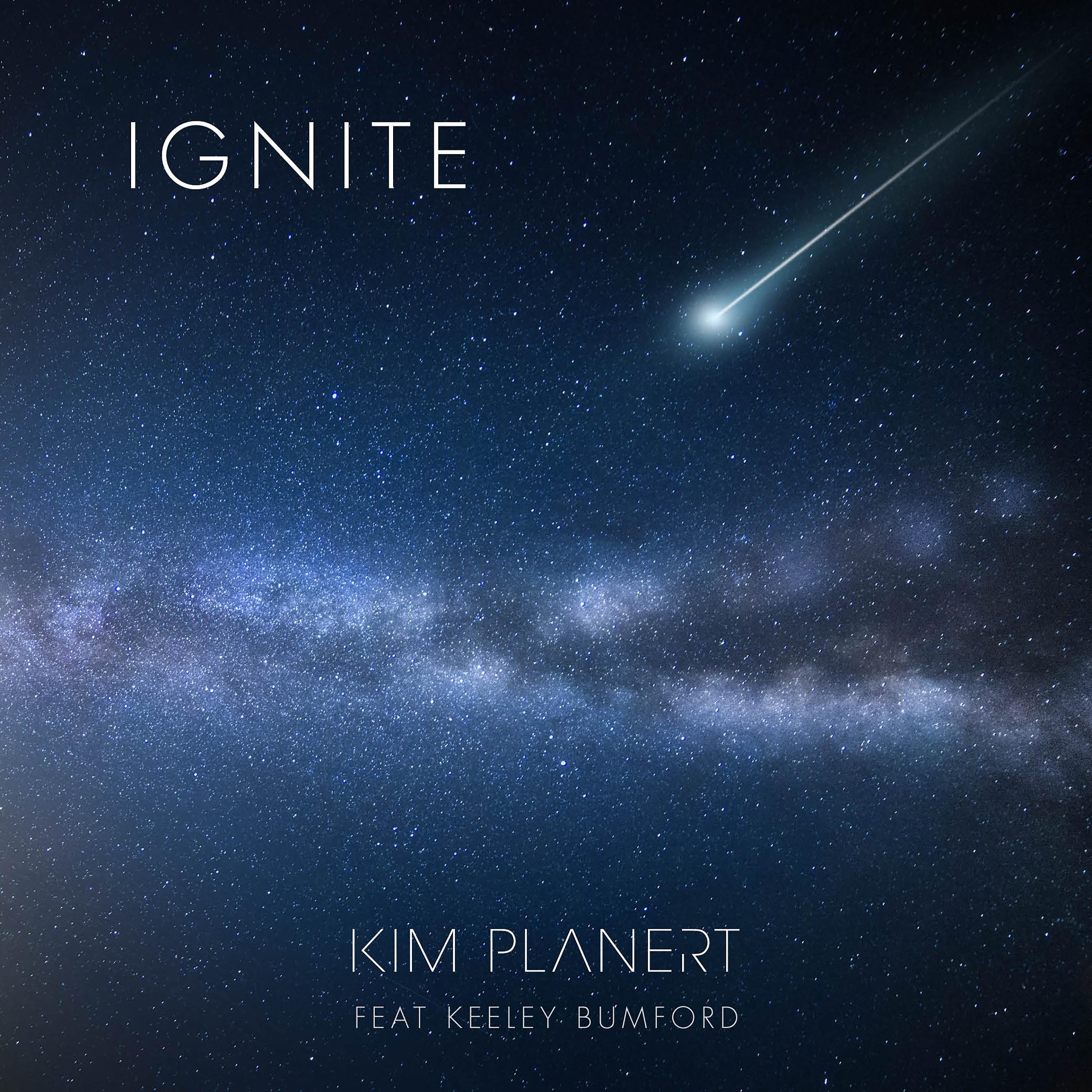 Постер альбома Ignite (feat. Keeley Bumford)