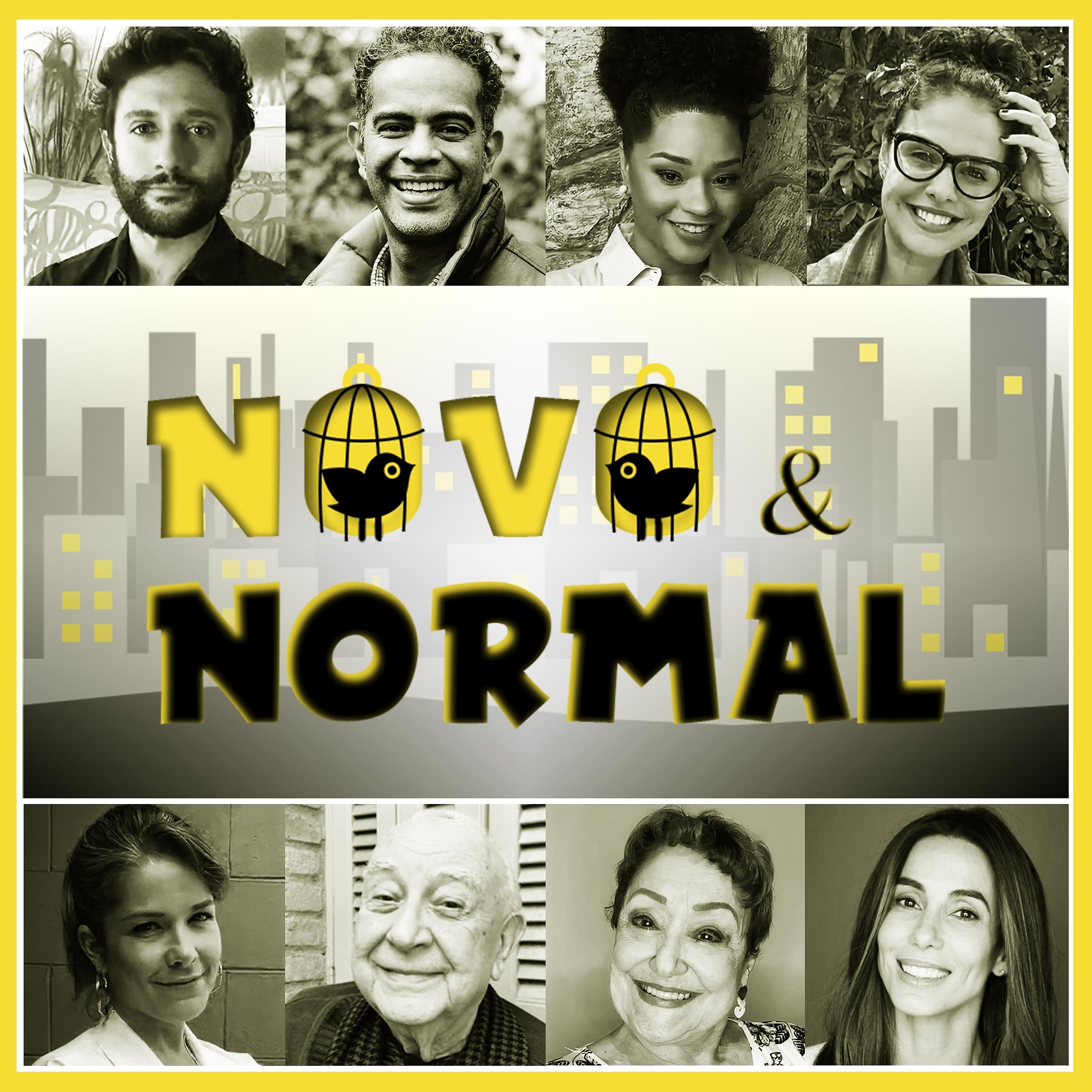Постер альбома Novo e Normal