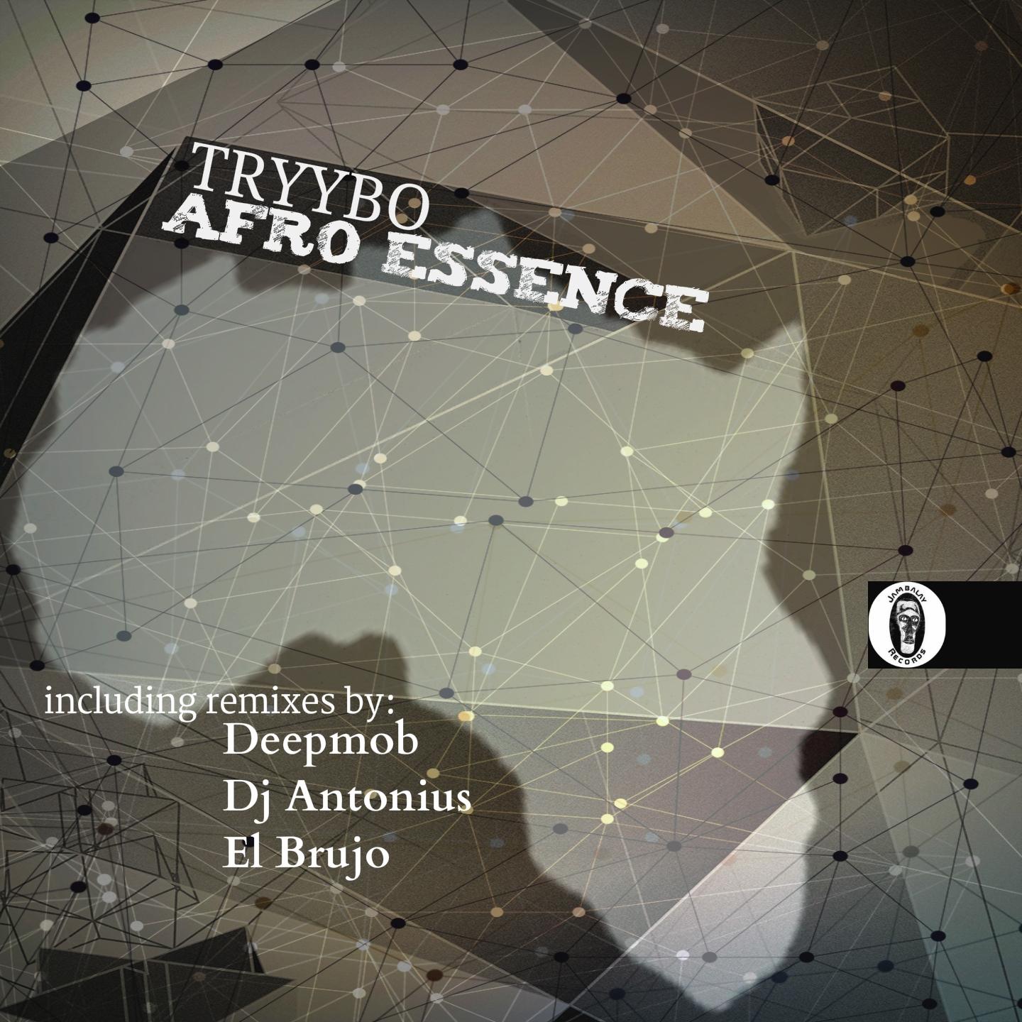Постер альбома Afro Essence