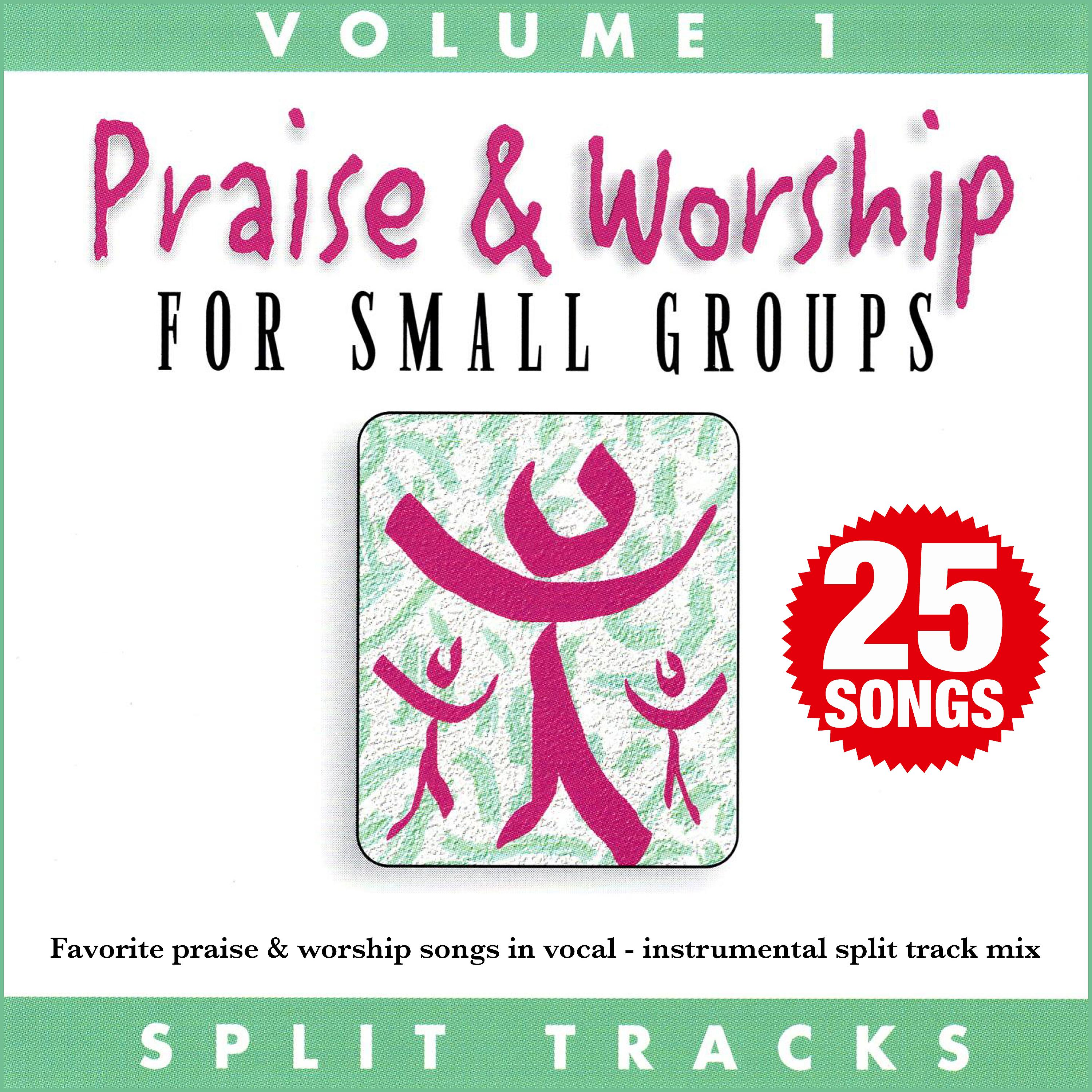 Постер альбома Praise & Worship for Small Groups, Vol. 1 (Whole Hearted Worship)