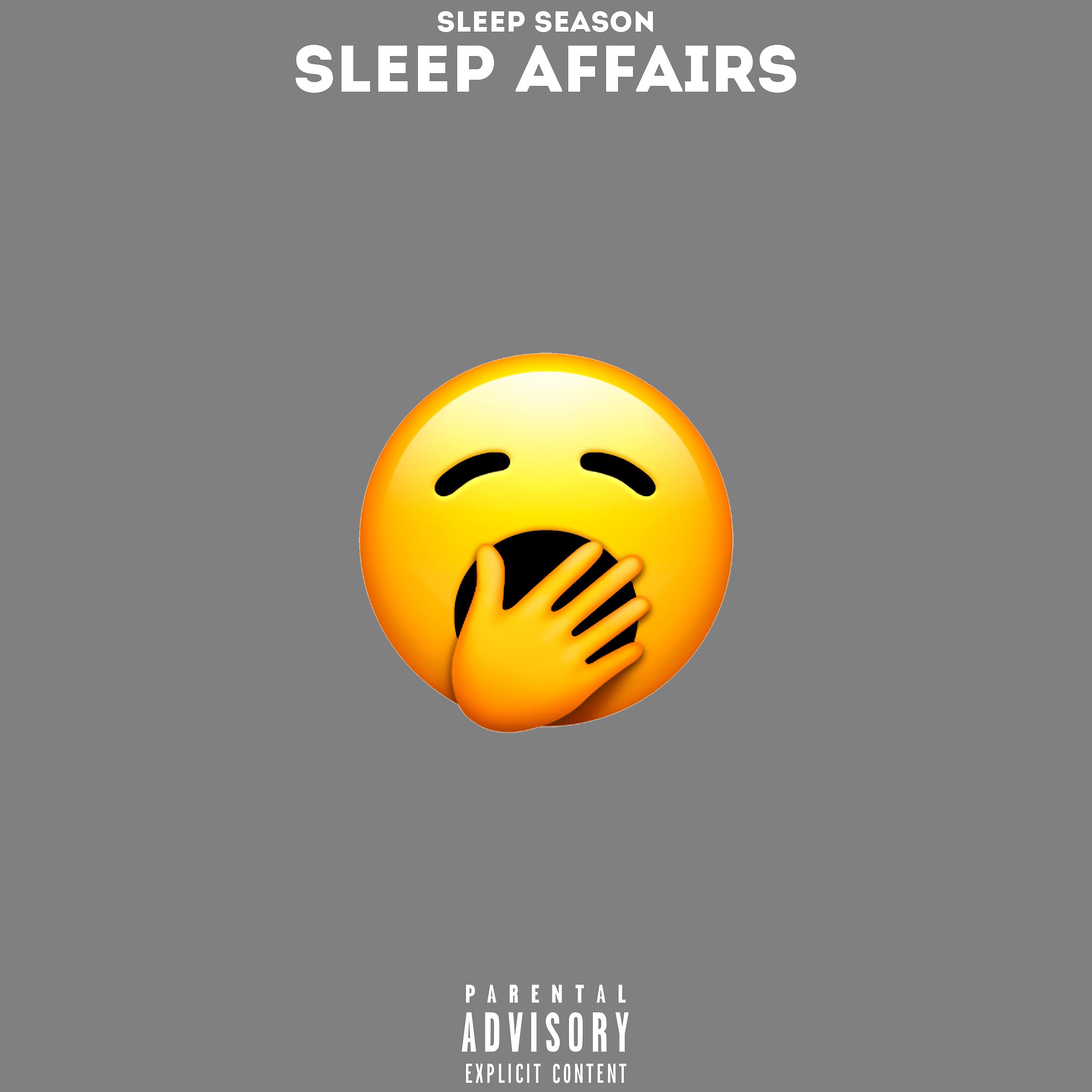 Постер альбома Sleep Affairs