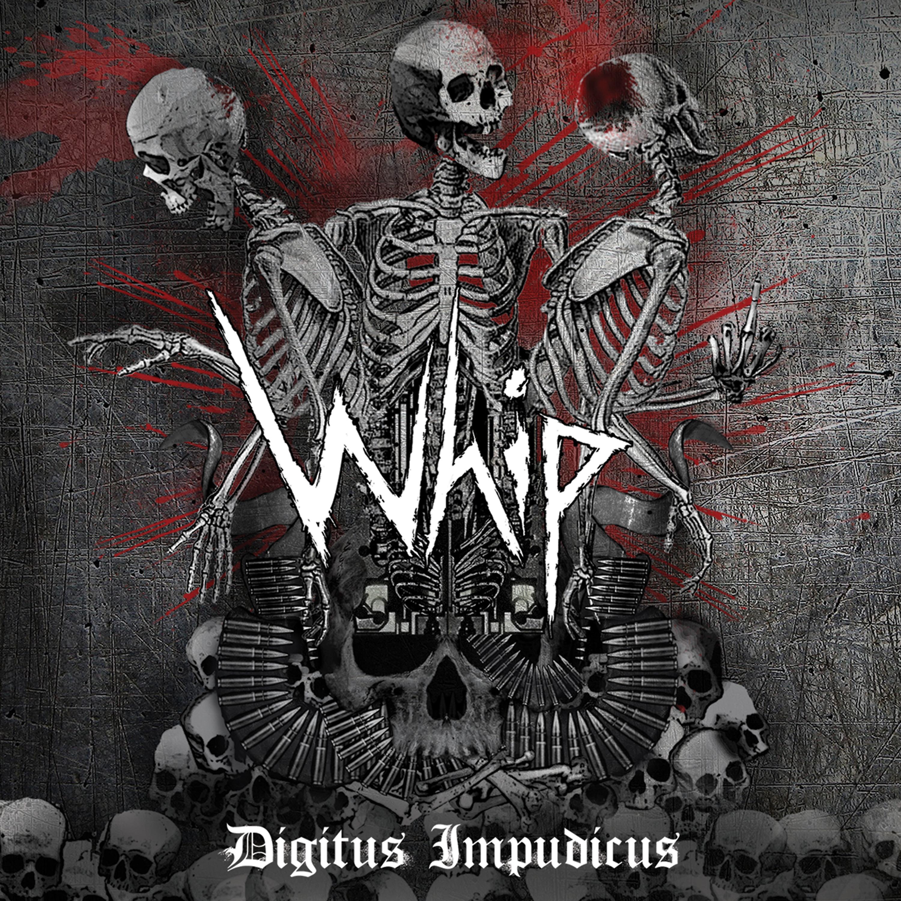 Постер альбома Digitus Impudicus