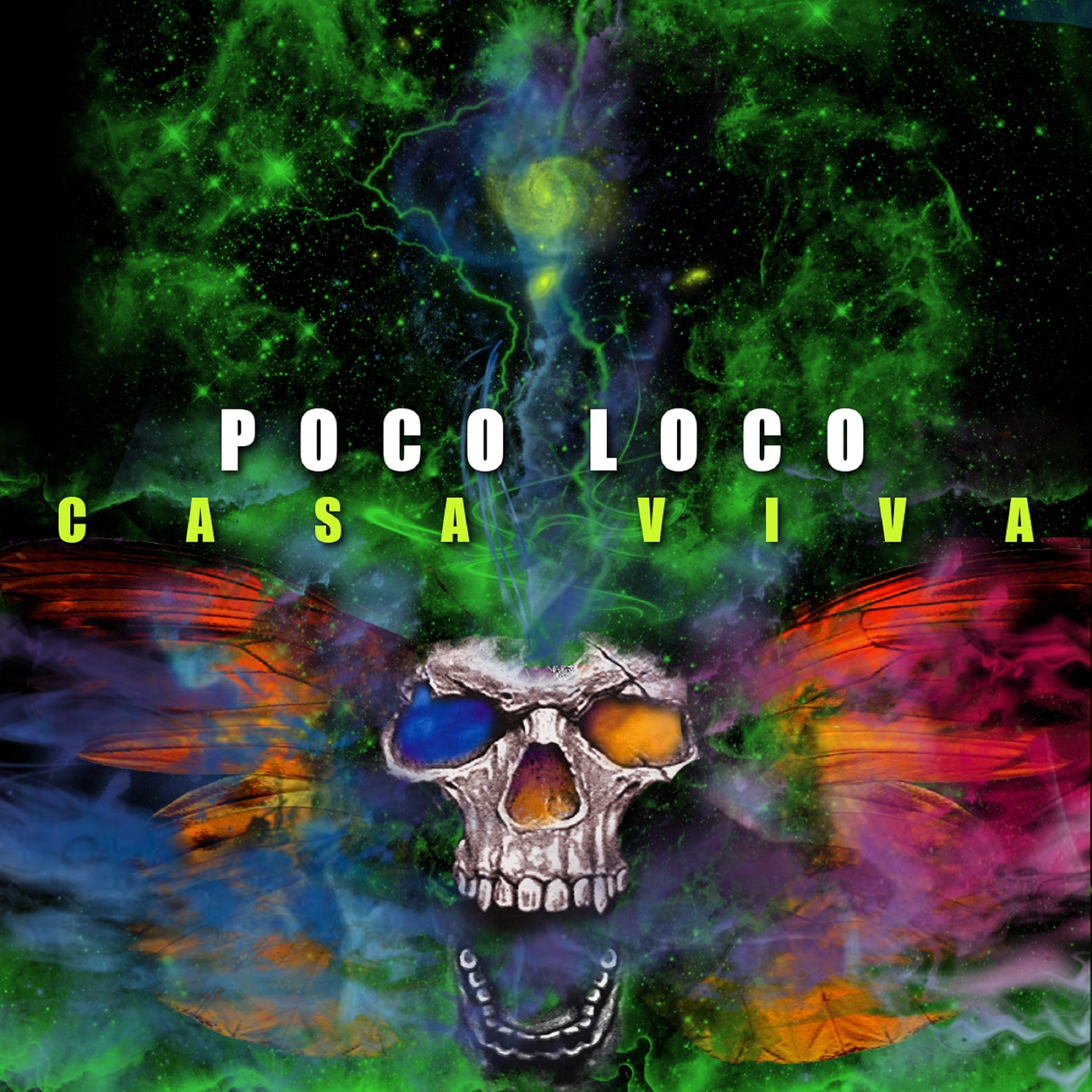 Постер альбома Casa Viva