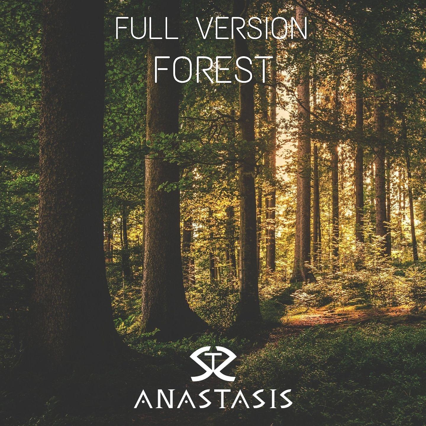 Постер альбома Forest