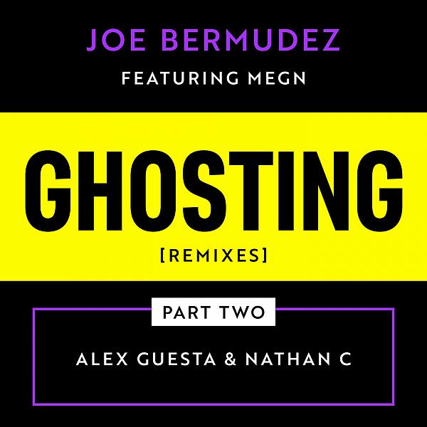 Постер альбома Ghosting: Remixes, Pt. 2 (feat. Megn)
