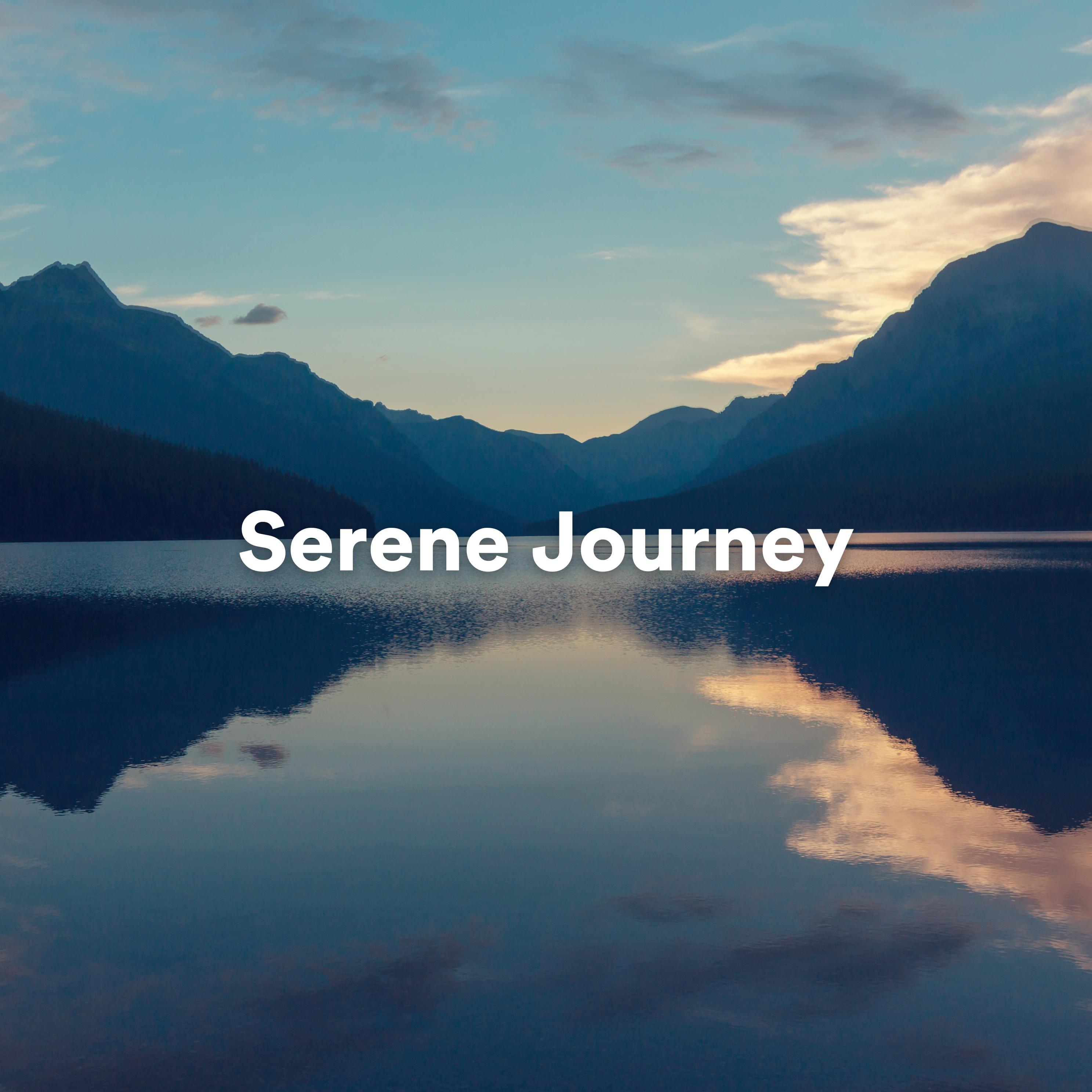 Постер альбома Serene Journey