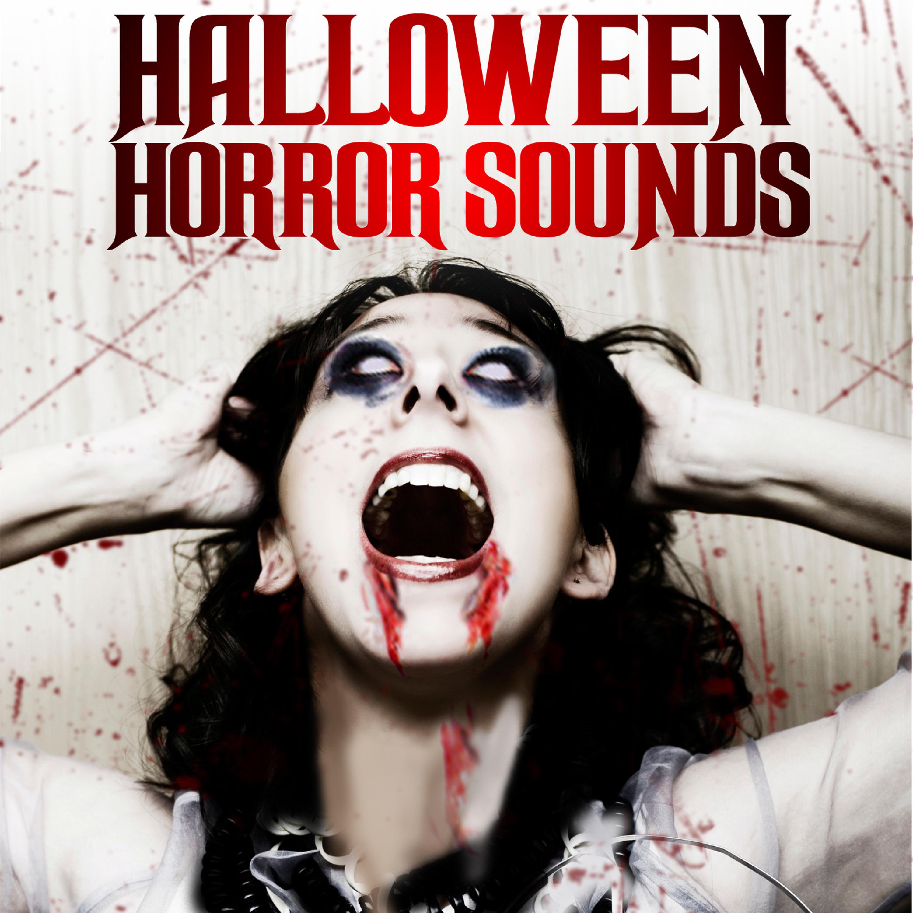 Постер альбома Halloween Horror Sounds