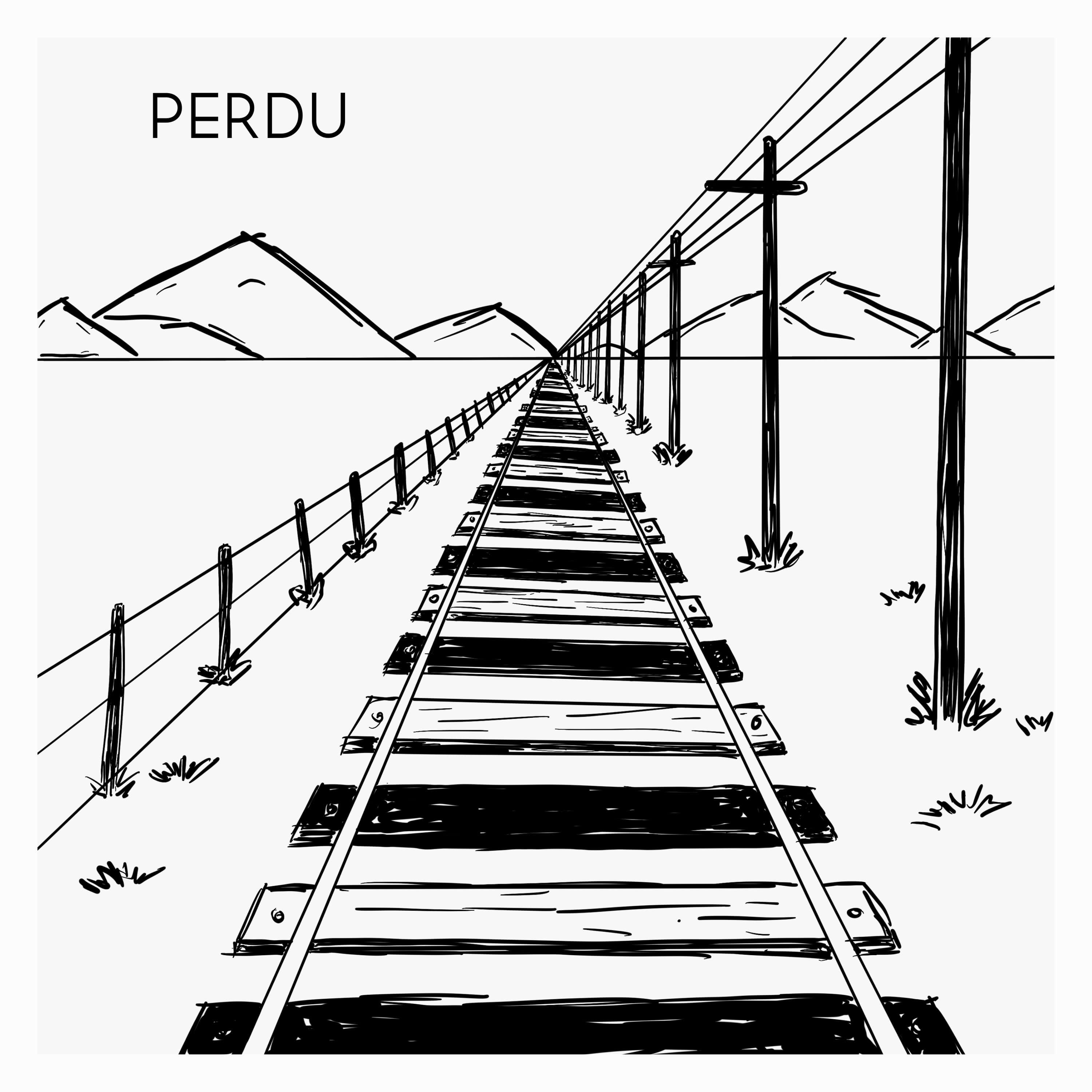 Постер альбома Perdu