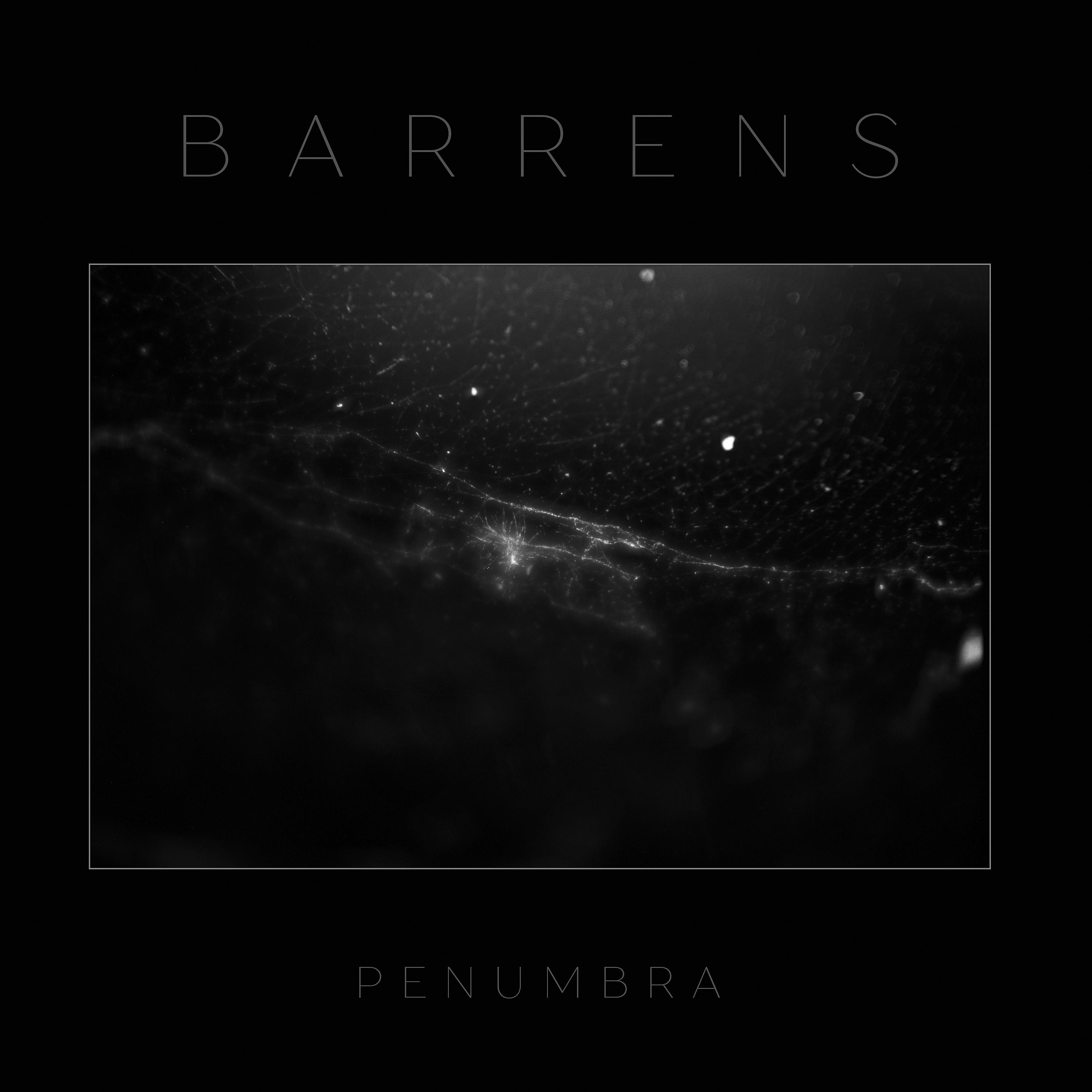 Постер альбома Penumbra